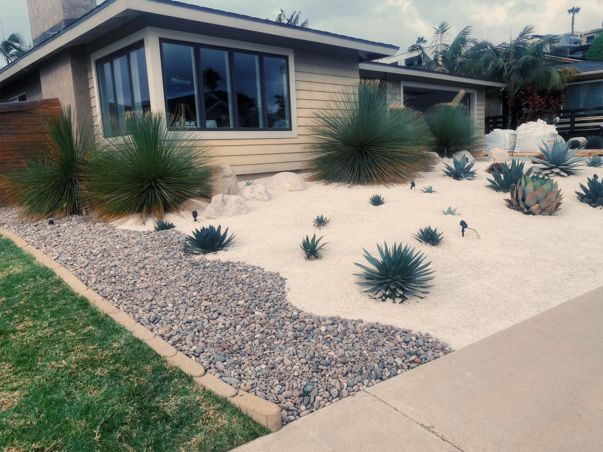 A desert-style front yard with a house in the background, featuring white sand, succulent plants, and desert bushes, with a pebble border along the edge and a concrete sidewalk in Point Loma.