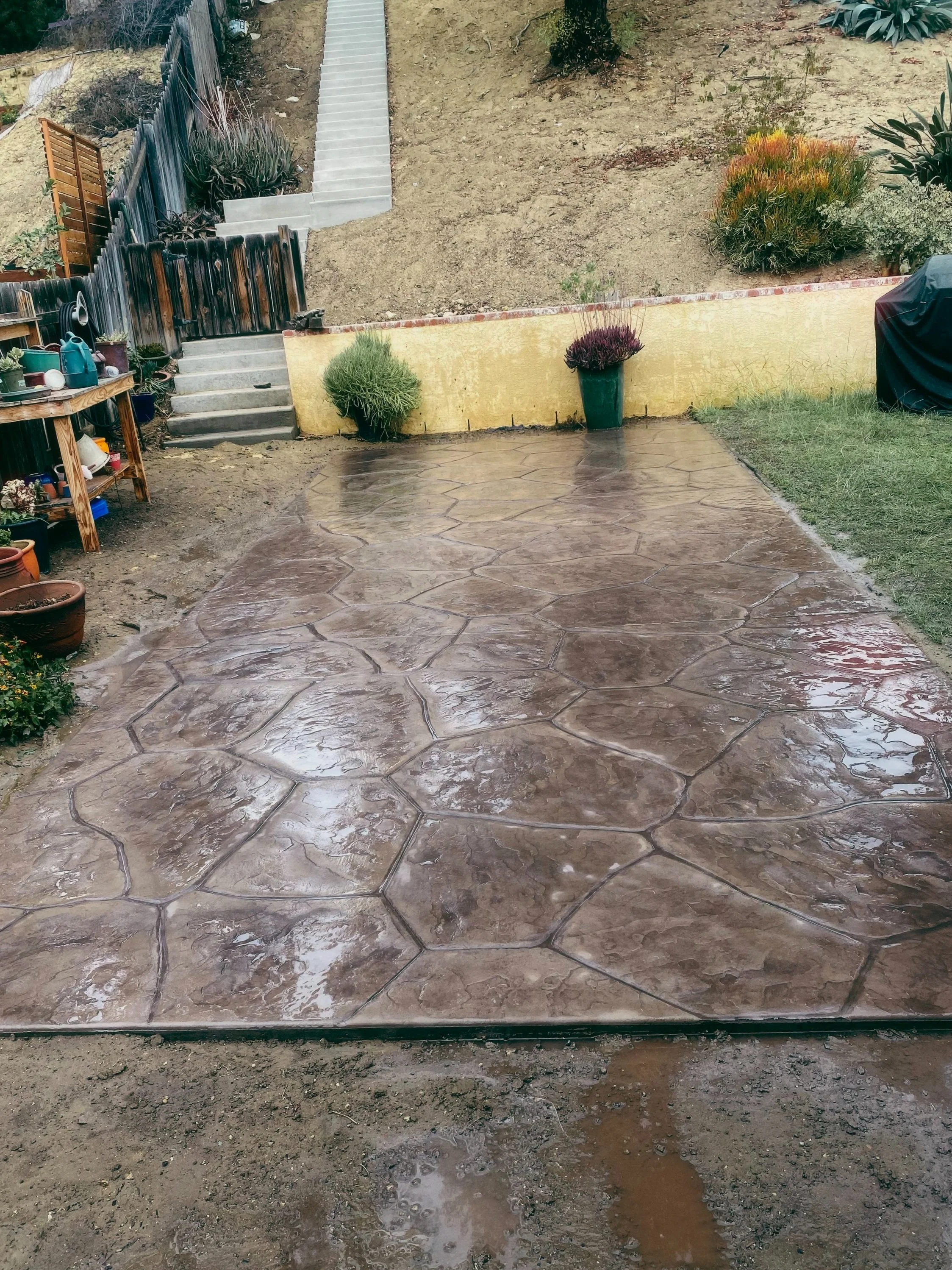 Freshly poured concrete patio with a decorative pattern in a backyard. There are garden steps, plants, and gardening supplies nearby.