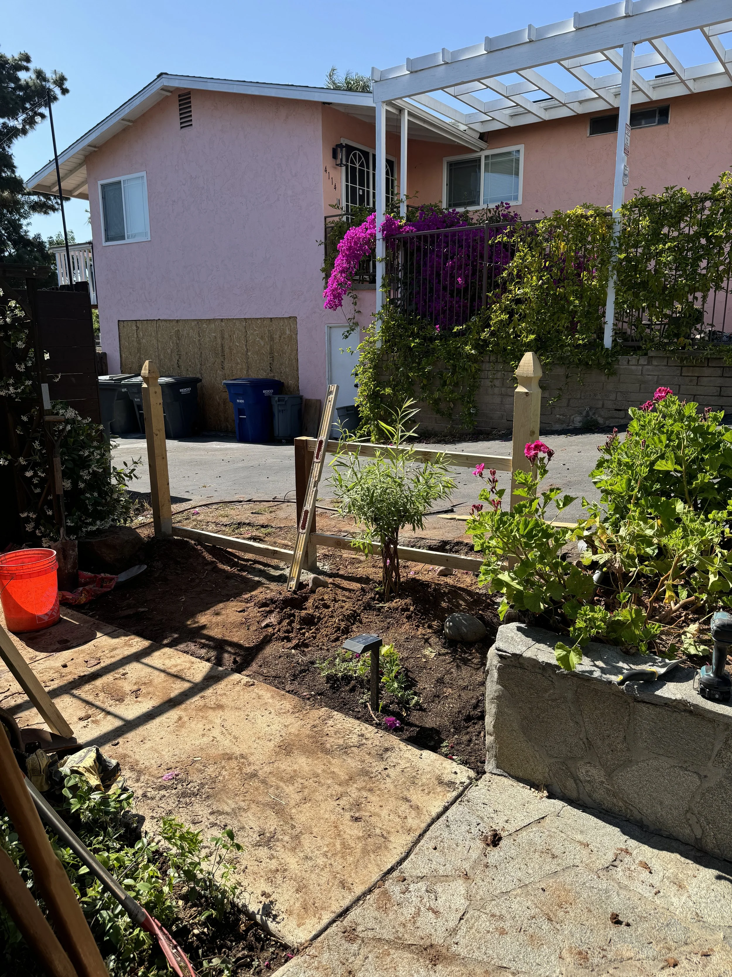 A residential backyard garden with a small newly planted tree, flowering plants, and a partially paved area. There are building structures including a pink house with purple flowers on a balcony, and a construction fence with wooden posts in the foreground.