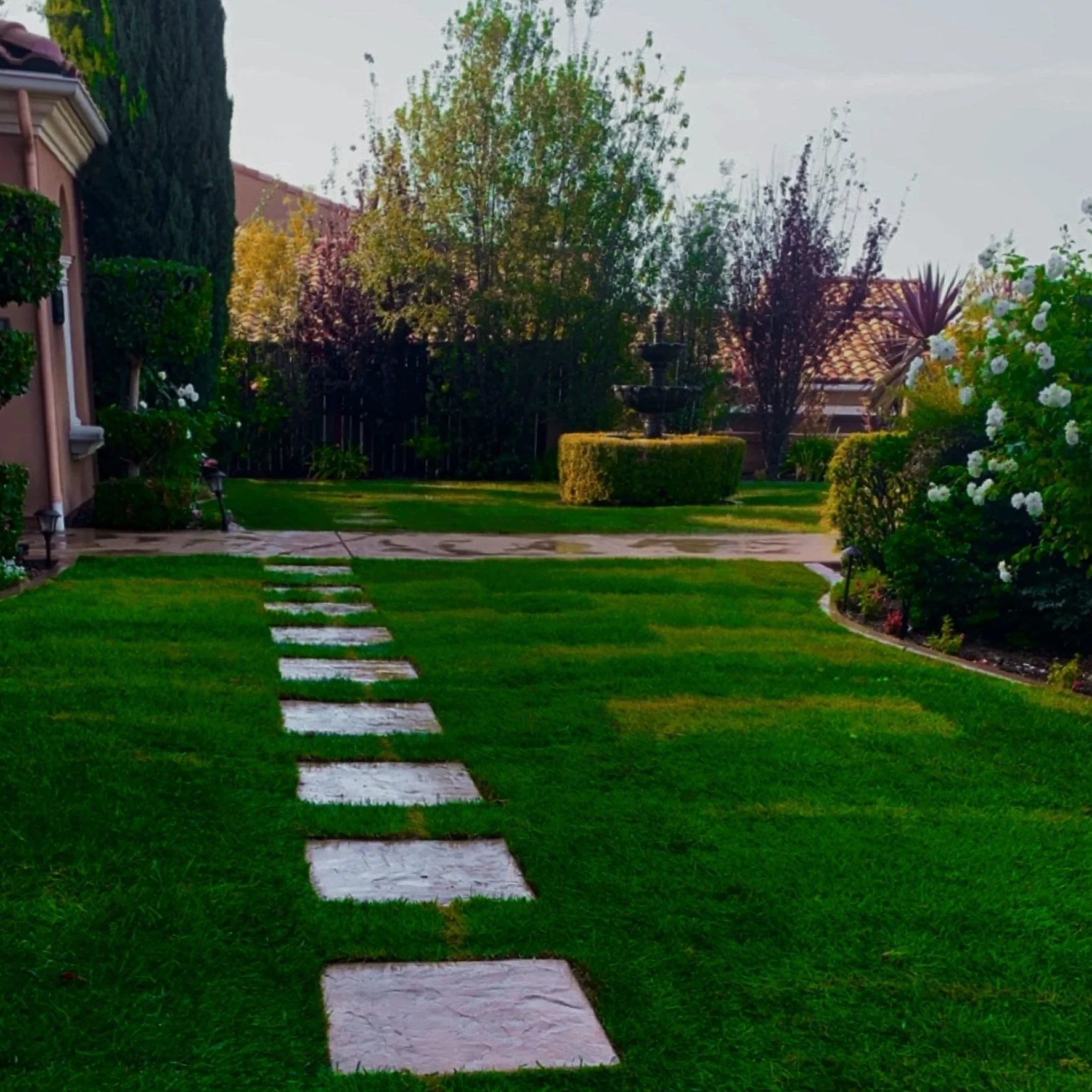 Freshly installed sod in a backyard garden with a stone pathway leading to a fountain, surrounded by lush green grass, trimmed bushes, and trees, with a house and cloudy sky in the background in Chula Vista.