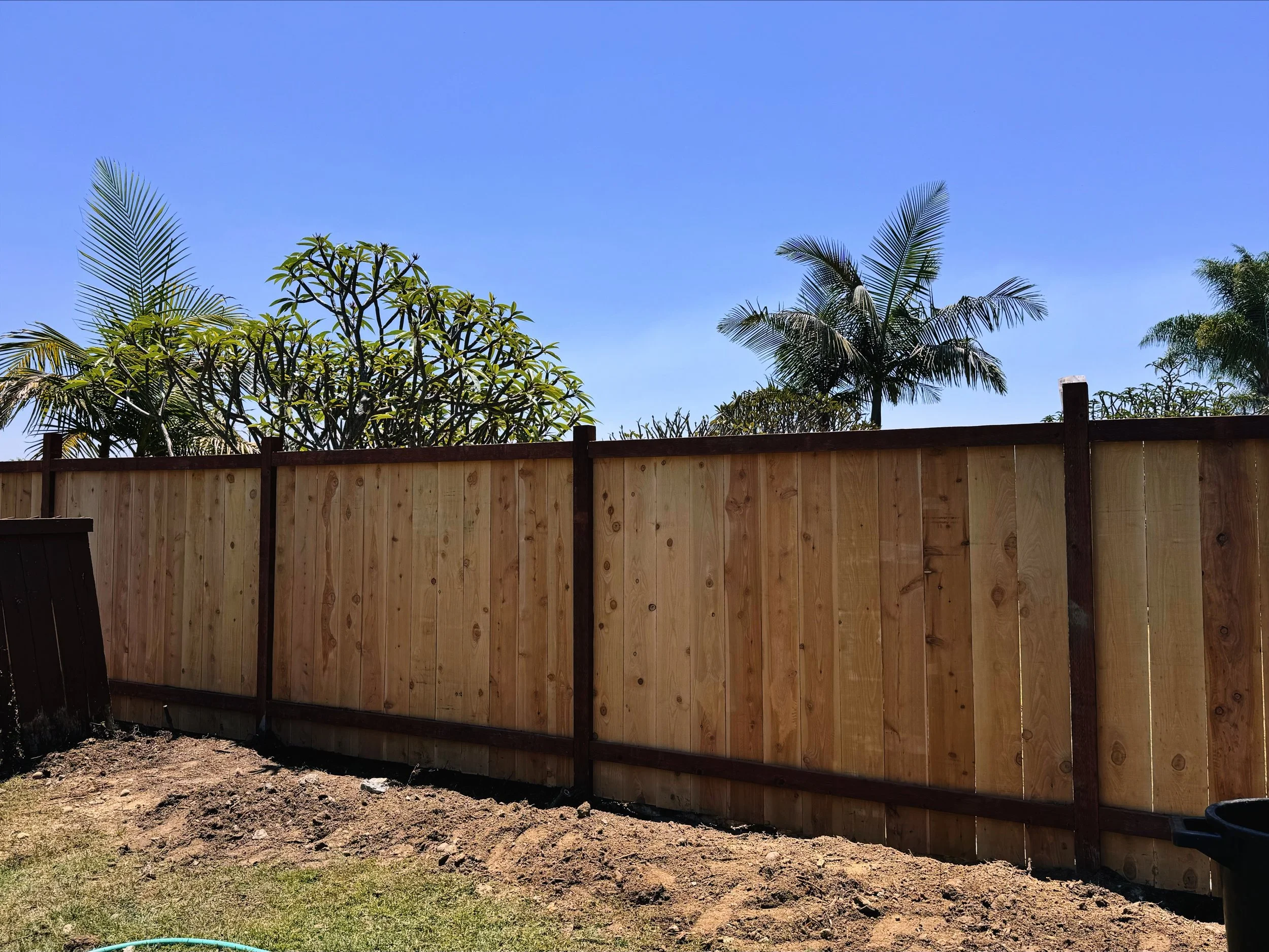 New wooden fence in a backyard with trees and a clear blue sky in the background.
