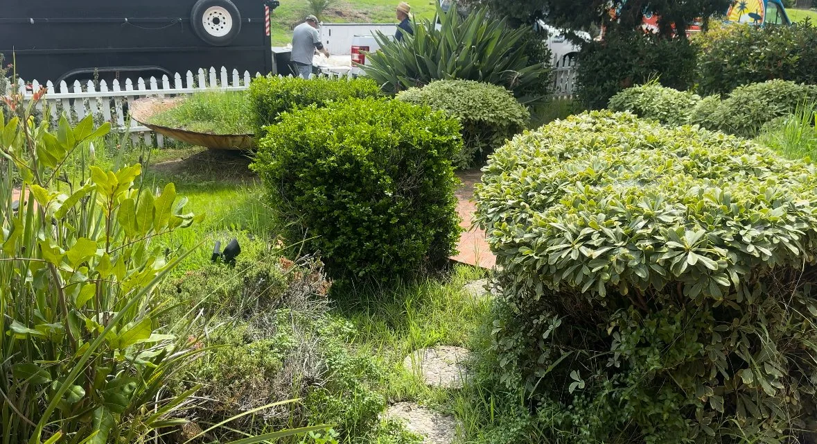 A lush garden with varied green shrubs, plants, and grass, with two people in the background near a white picket fence and a large black trailer.
