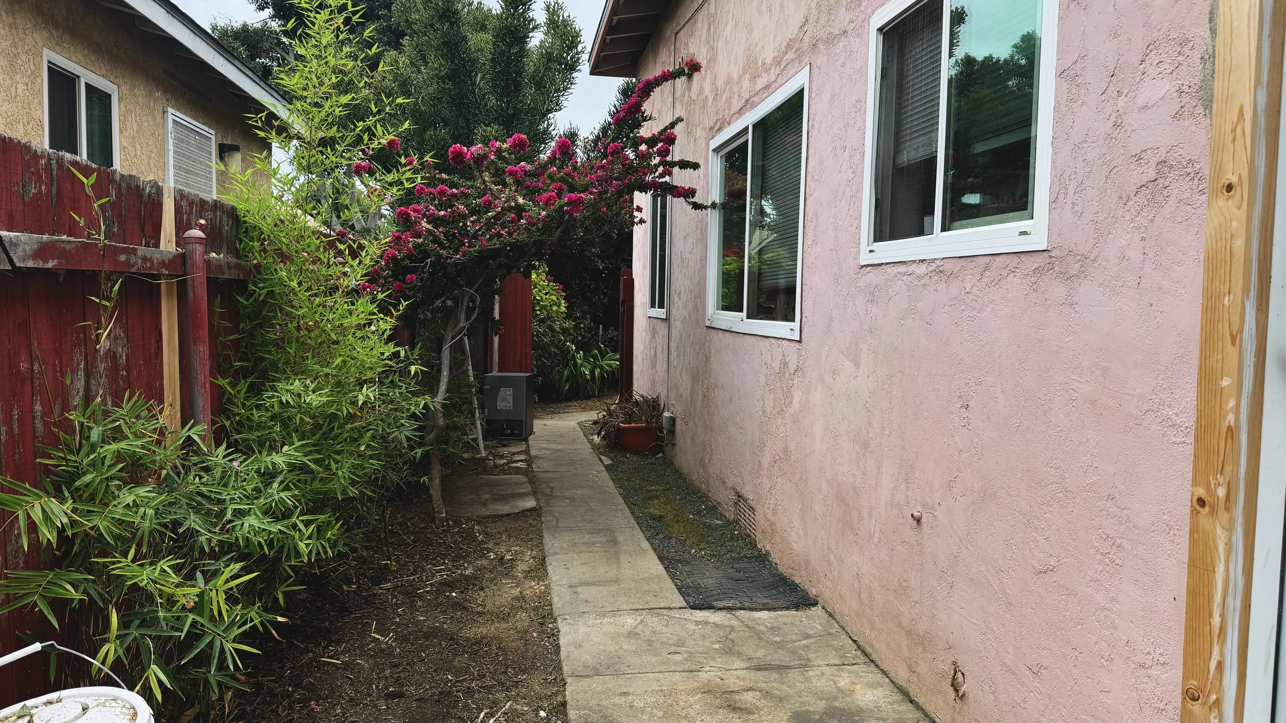 A narrow concrete pathway runs beside a pink stucco house with three white-framed windows. Green plants and a flowering bush with pink blossoms are on the left, with a weathered red wooden fence in the background. A potted plant is next to the house, and trees are visible in the background.