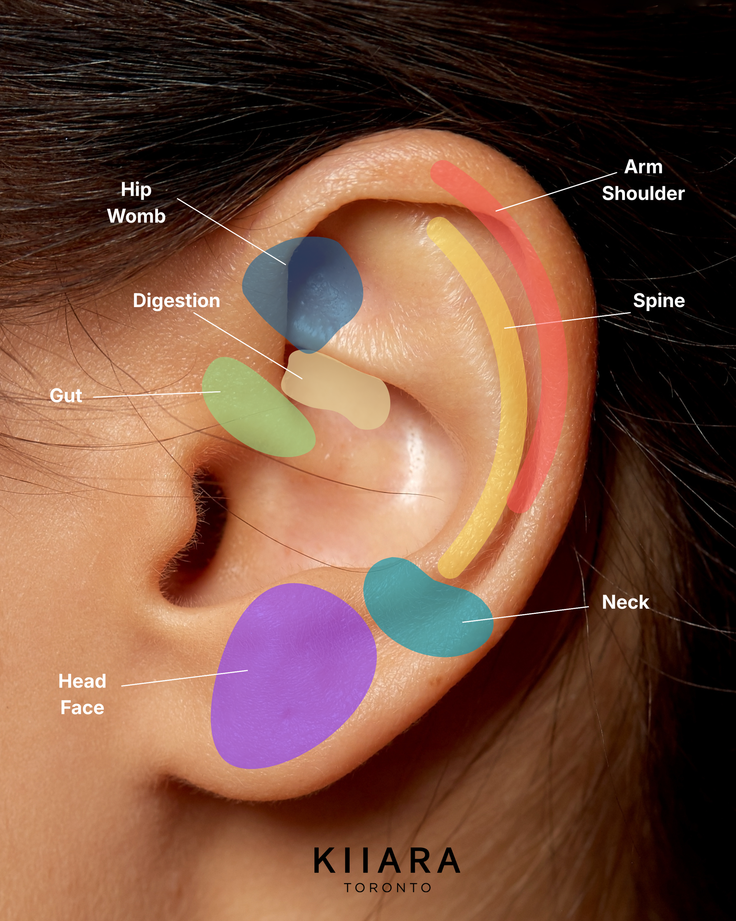 Why Your Face Looks Puffy in the Morning — Korean Ear Acupressure That Actually Works