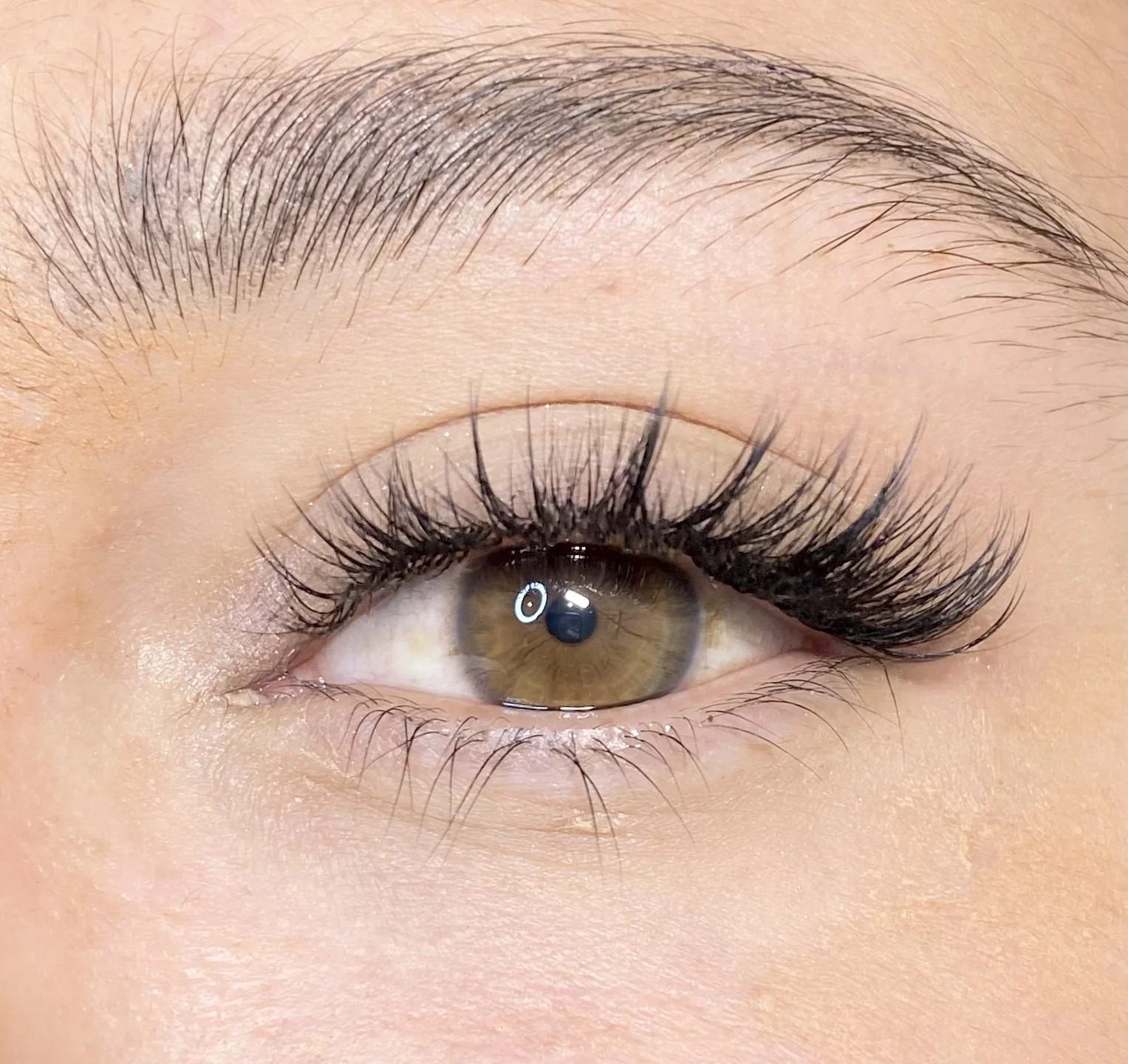 Close-up of a brown eye with long, curled eyelashes and neatly groomed eyebrows.
