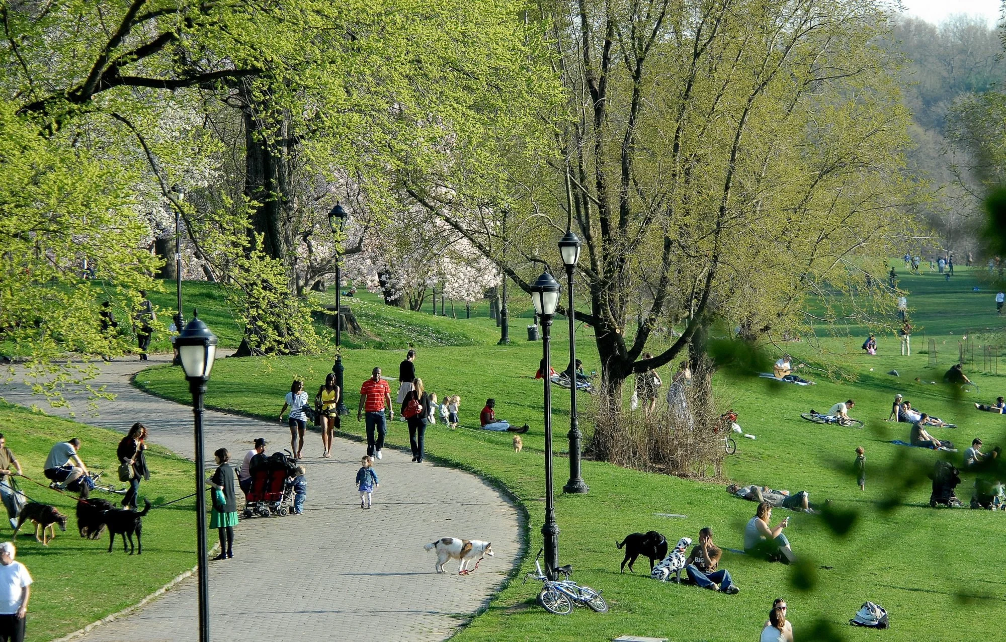 Prospect-park-Image-by-Elizabeth-Jeegin-Colley-for-the-Prospect-Park-Alliance.jpg