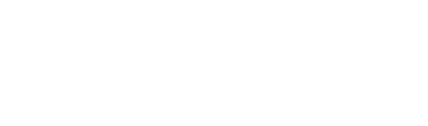 PS 295 Brooklyn