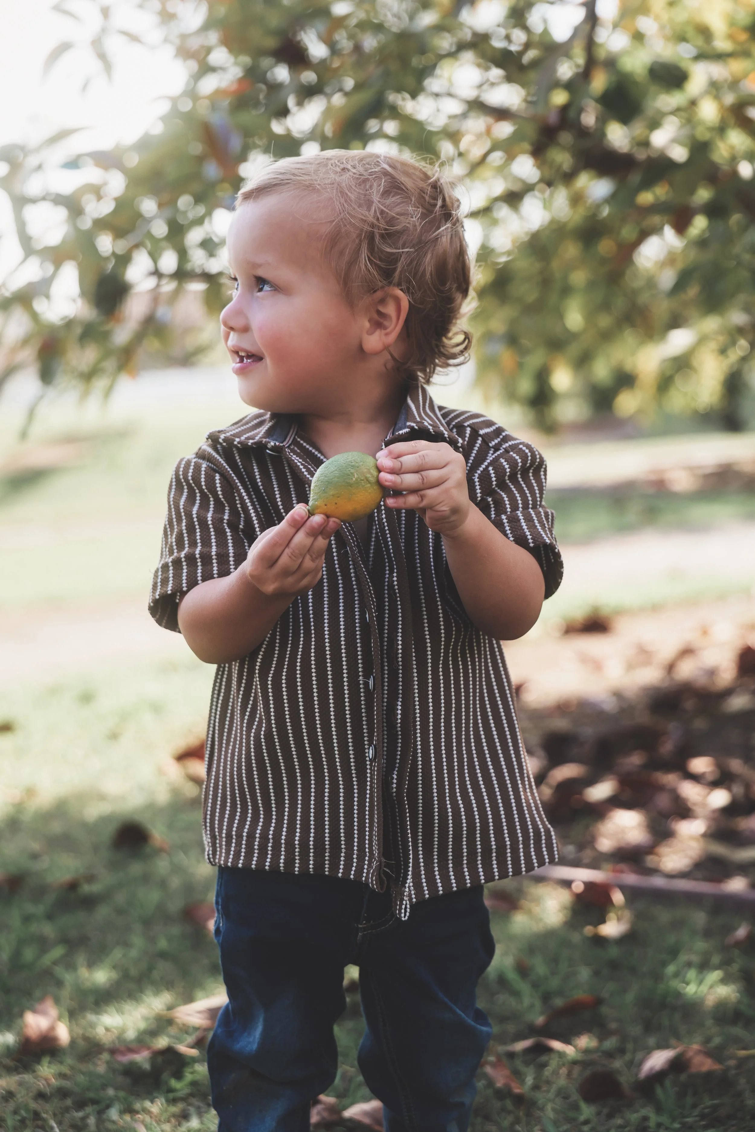 A young boy with curly hair and a striped shirt holding a mango, standing outdoors in a park or garden, with trees and sunlight in the background.
