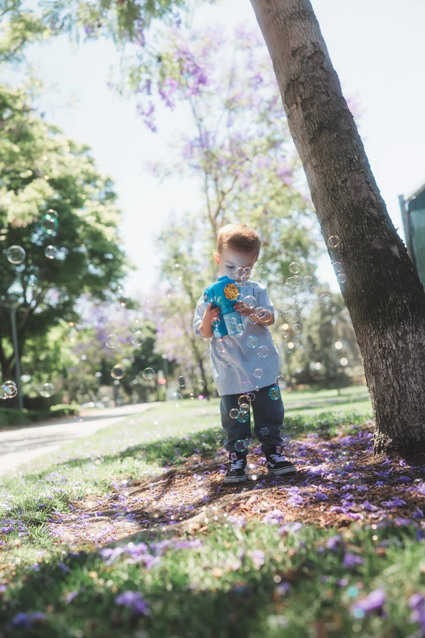 A young boy is playing with a bubble gun in a park, surrounded by trees with purple and green foliage, and fallen purple flowers on the ground during daytime.