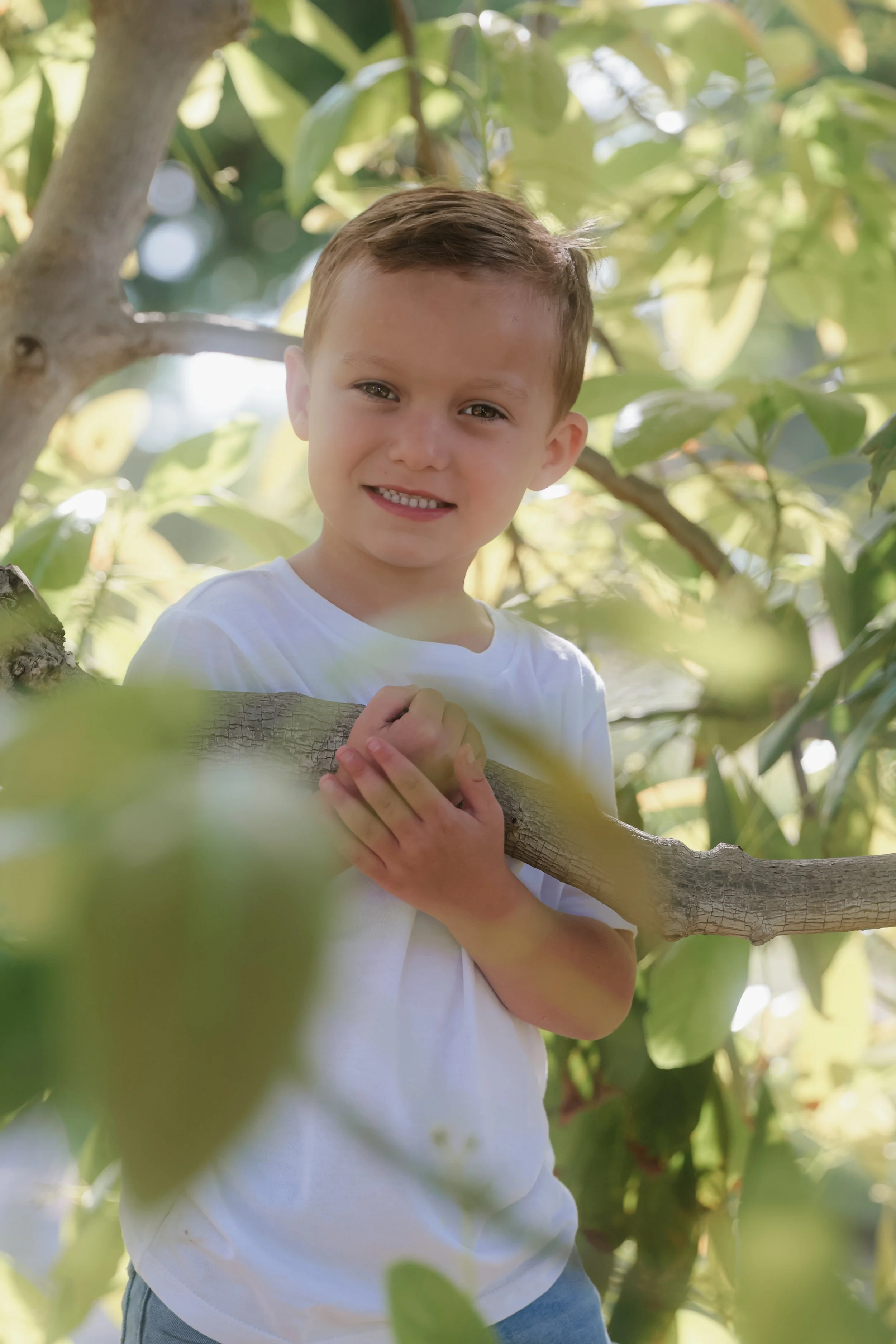 A young boy with short brown hair and a white t-shirt holding onto a tree branch amidst green leaves, looking at the camera and smiling.