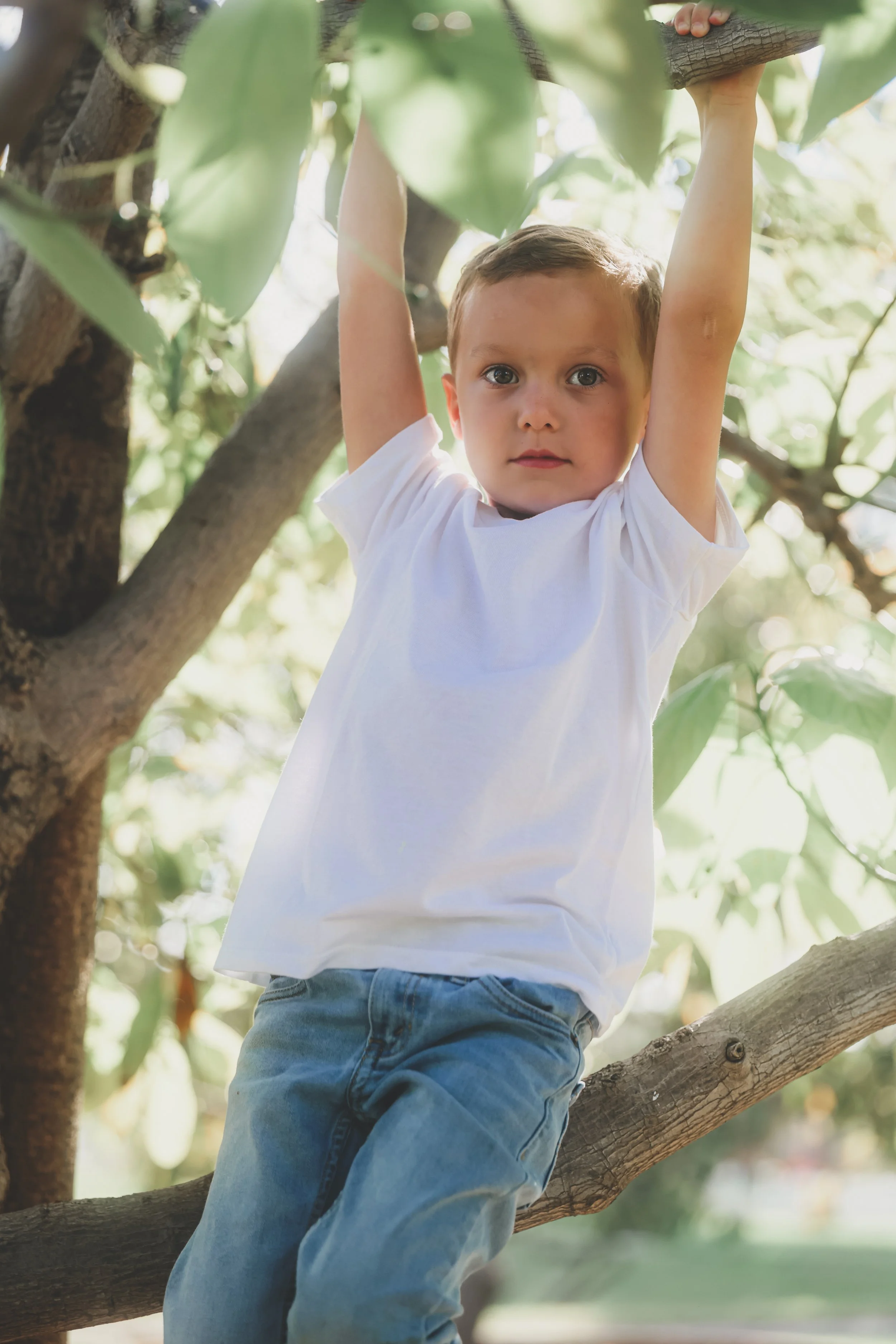 A young boy with short light brown hair and large eyes climbing a tree, holding onto a branch above his head.