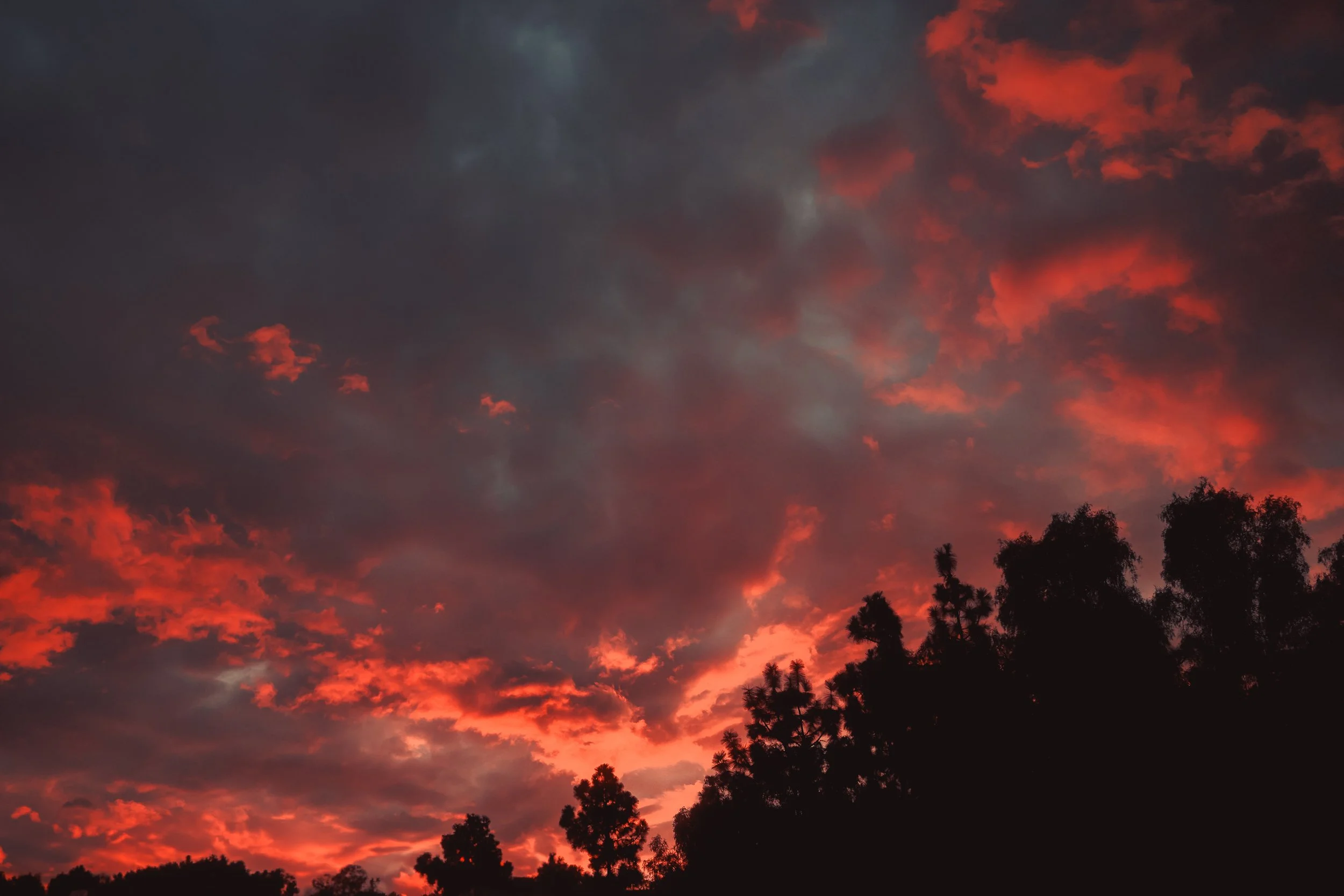 Vivid orange and red sunset sky with dark clouds and silhouette of trees in the foreground.