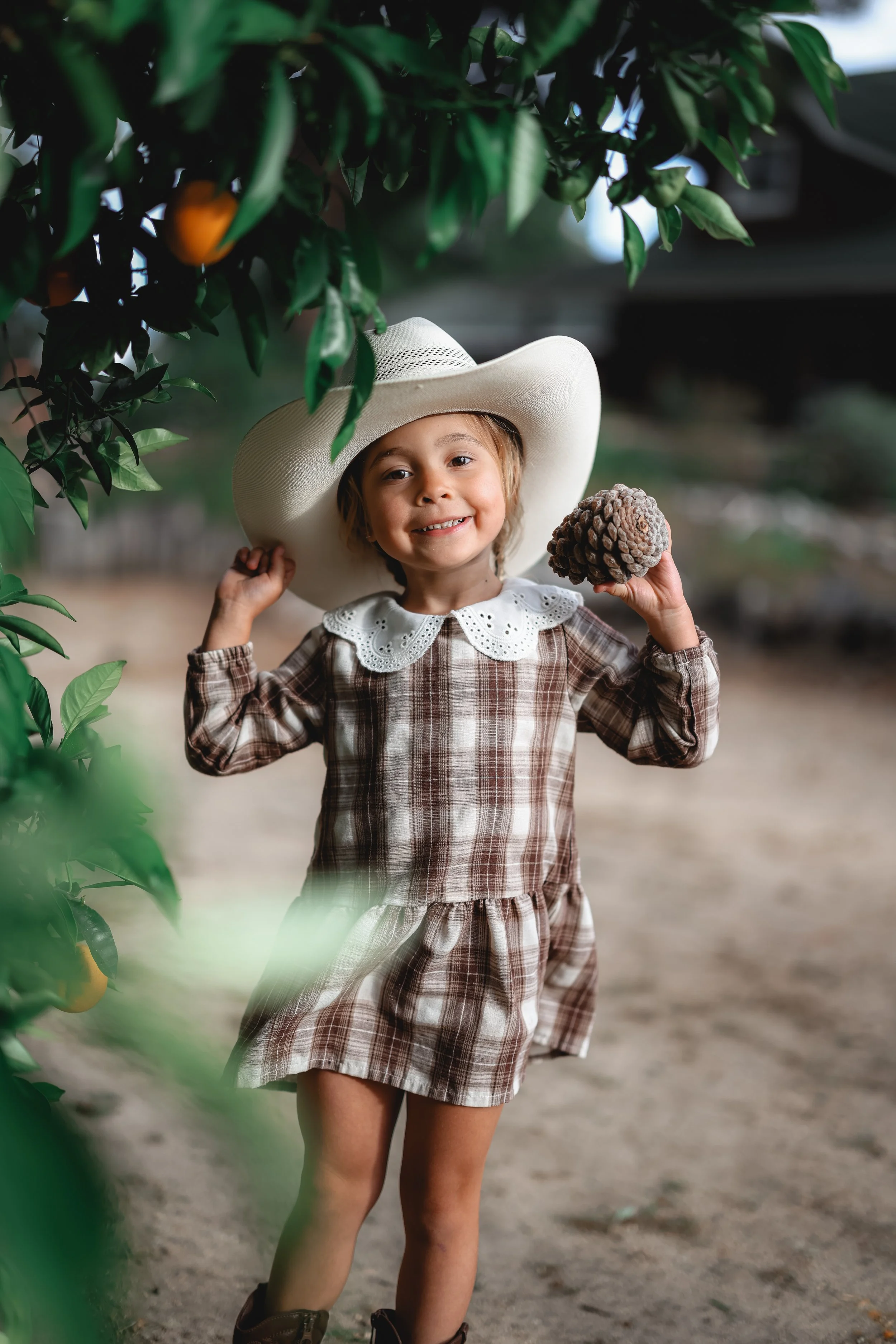 A young girl smiling and holding a large pine cone in an orchard with orange fruit and green leaves, wearing a plaid dress, a white lace-collared shirt, cowboy boots, and a wide-brimmed hat.