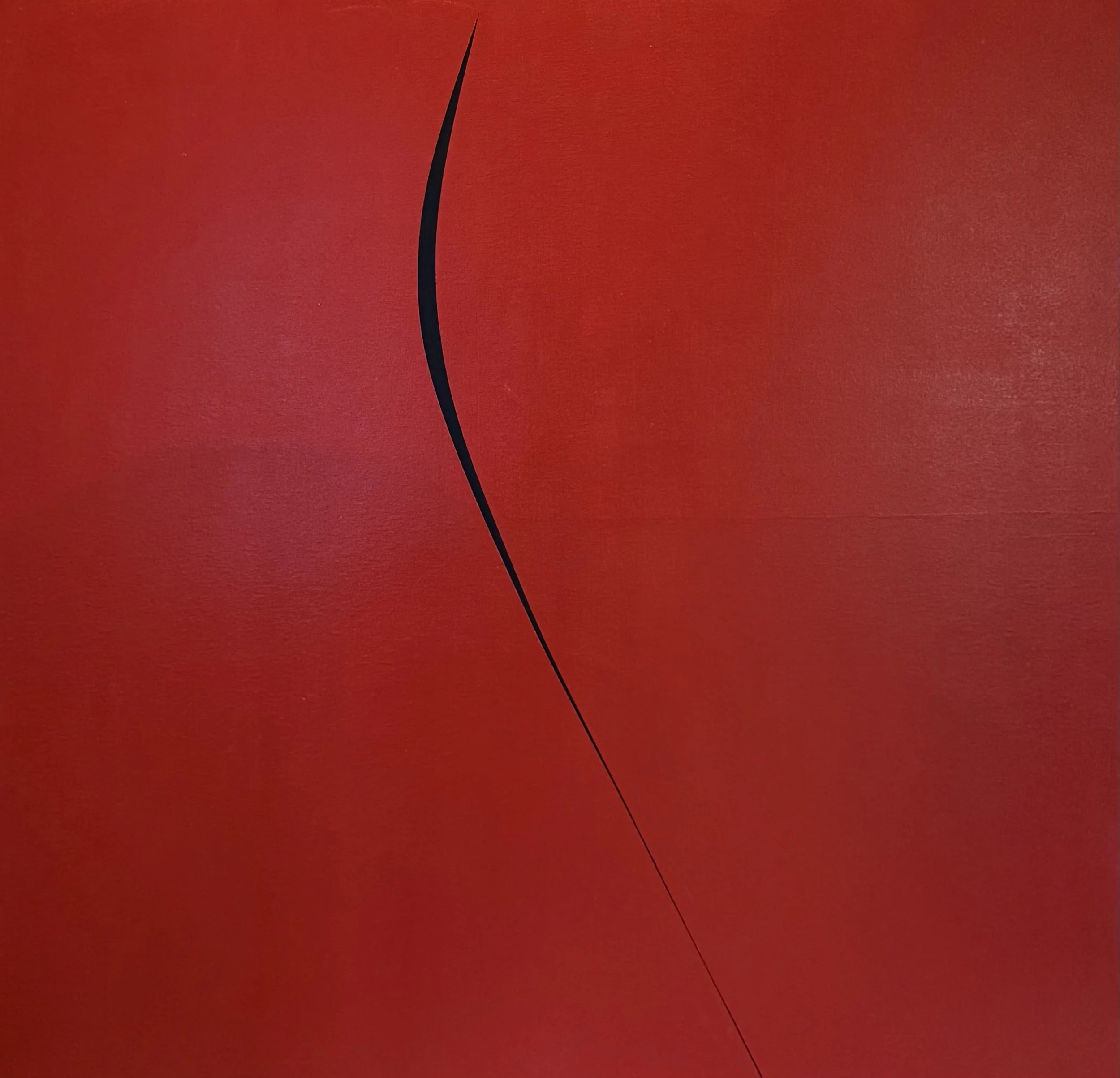 Wing in the Wind 2025 oil on canvas 36x36x1.5