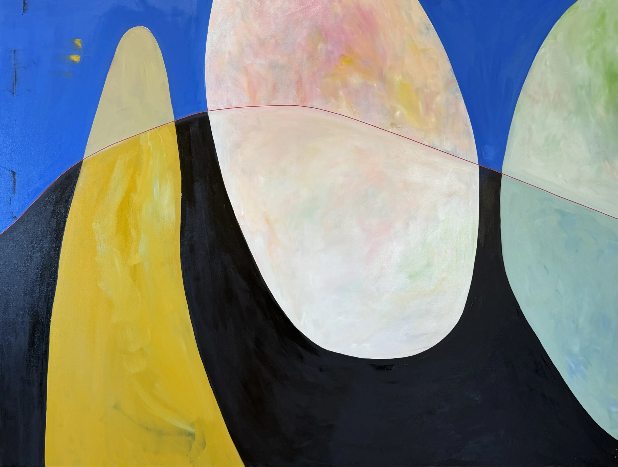 Reflections Are Rarely As They Appear 2025 oil on canvas 60x48x1.5