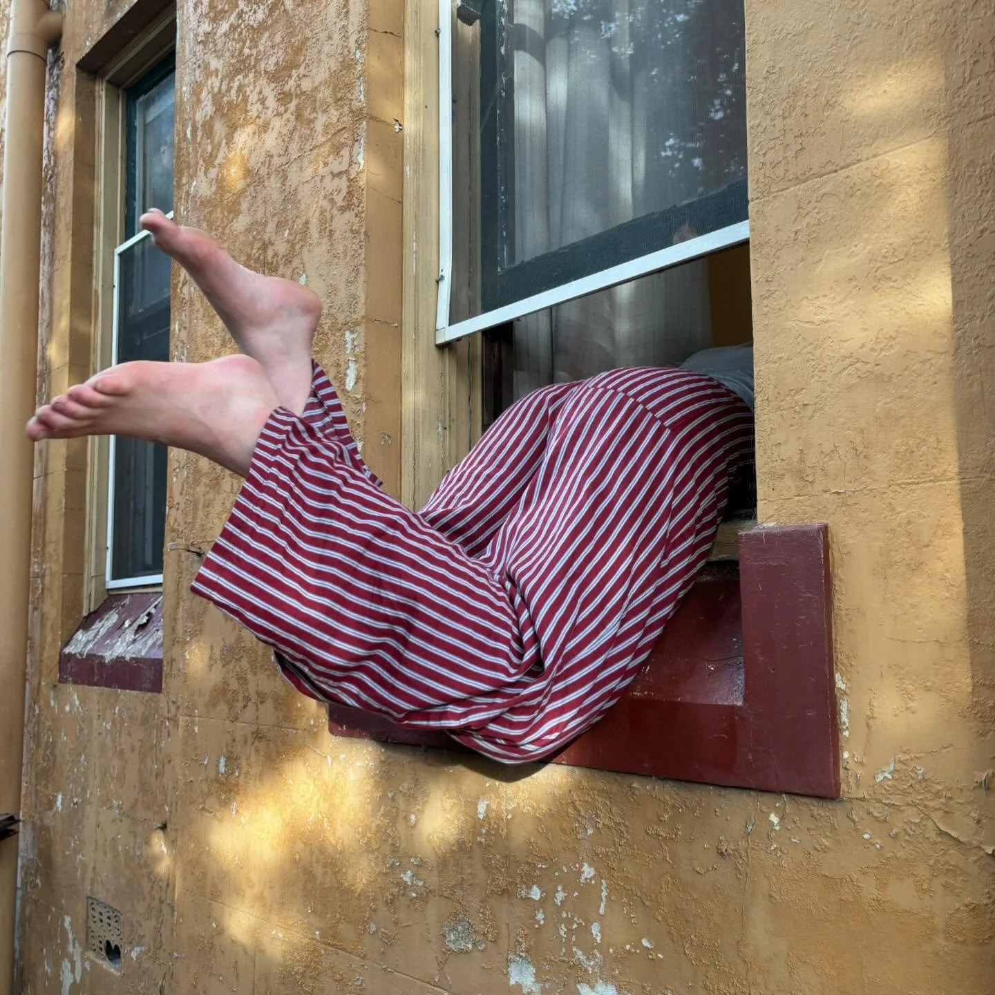 Me breaking into the girl next doors house 😚✌️

Locked myself out of the house yesterday but you can&rsquo;t keep a bitch down.

#girlnextdoor #newmusic