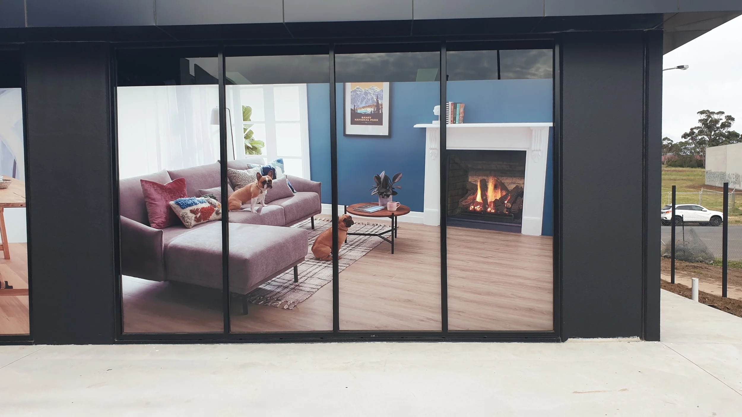 Printed Window Graphic