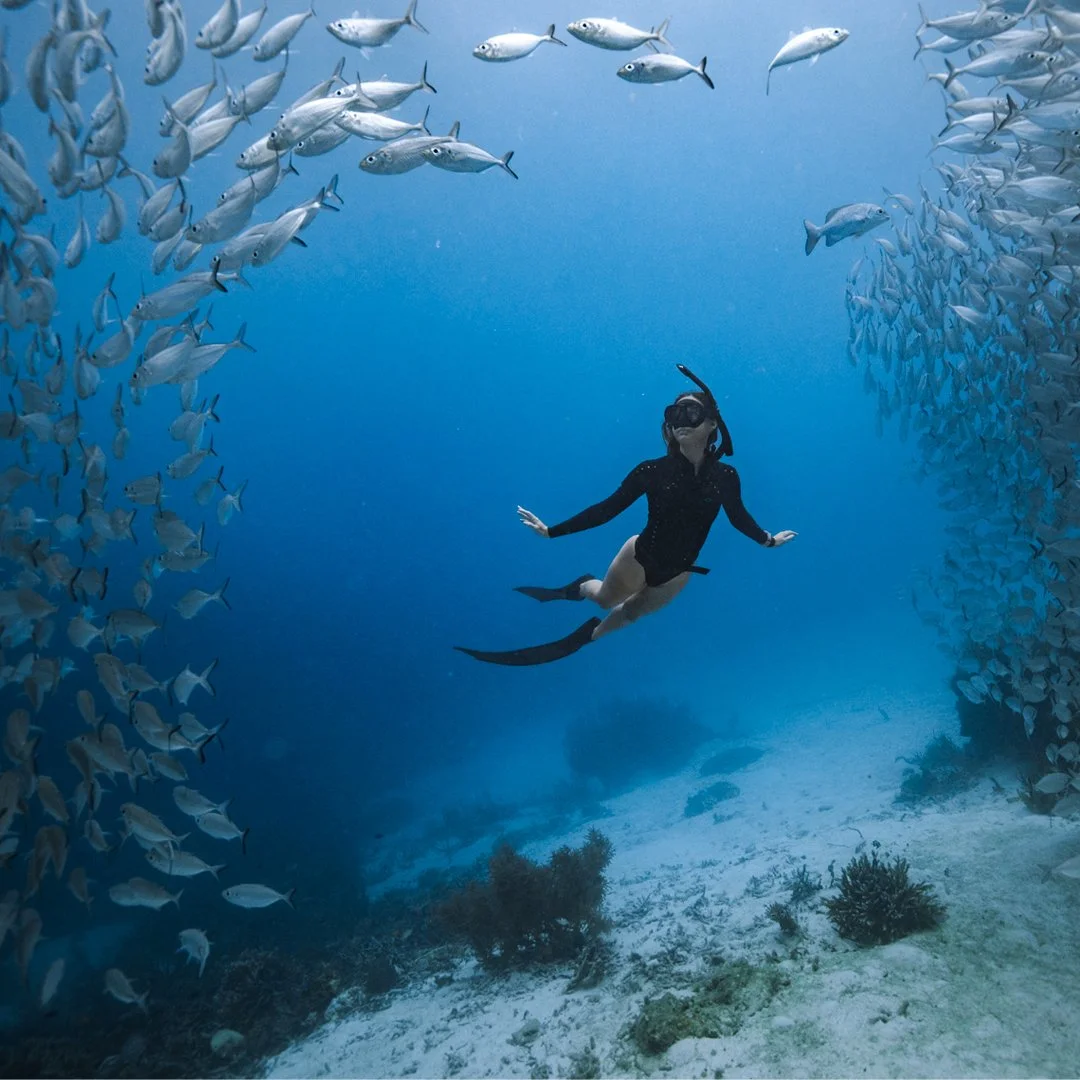 A person scuba diving underwater surrounded by schools of fish.