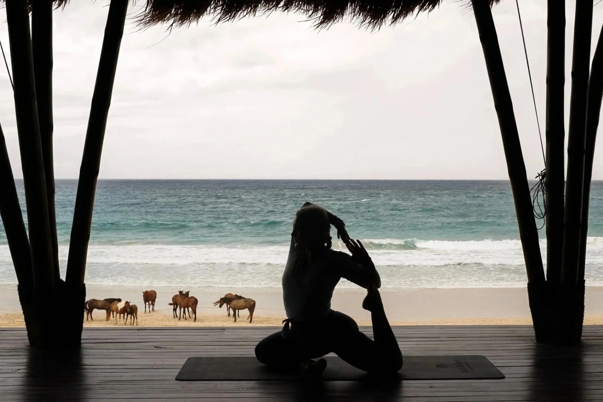 Silhouette of a person doing yoga on a mat near a beach with horses on the sand and ocean waves in the background, viewed from under a thatched-roof structure.