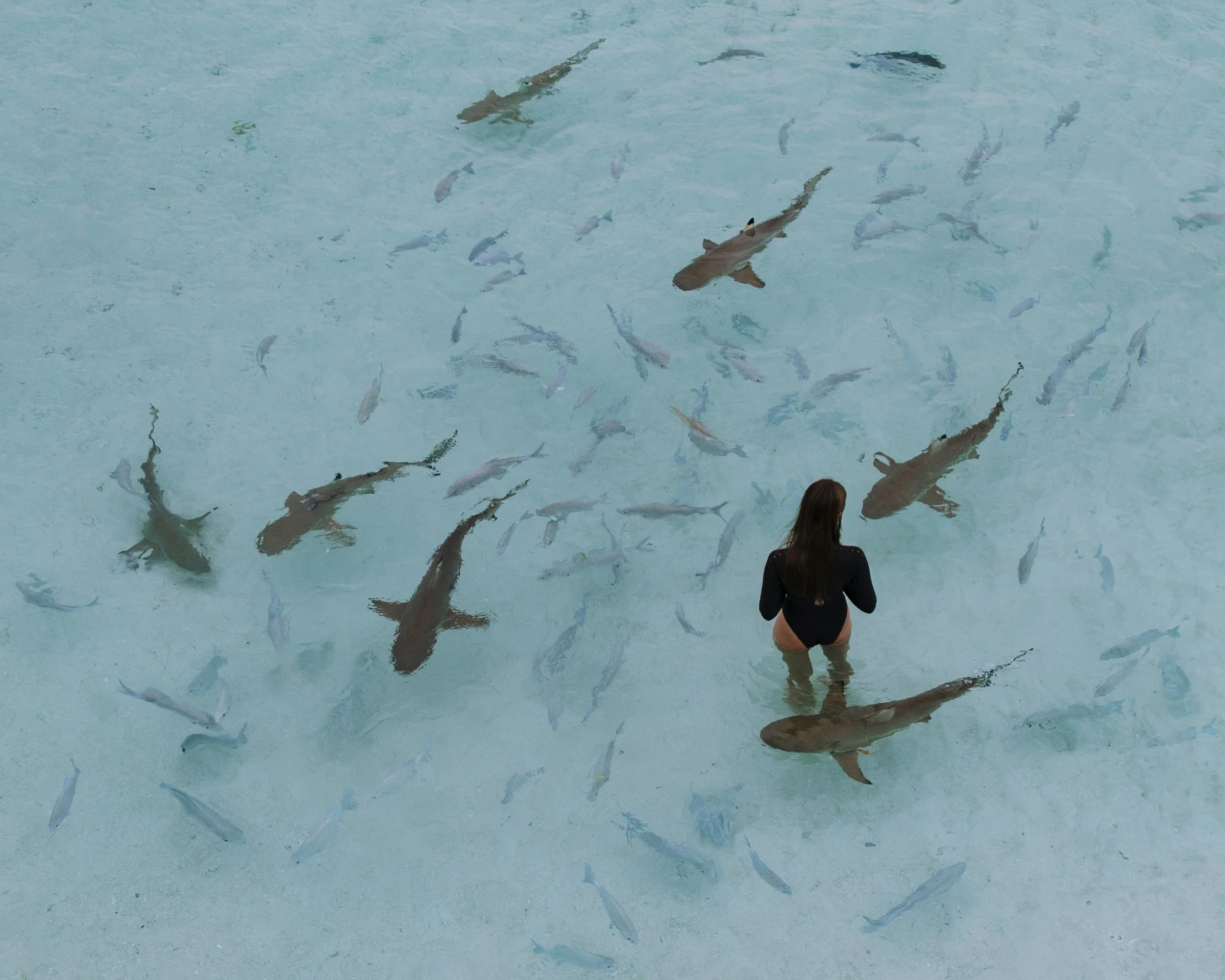 A woman in a black swimsuit standing in a large, shallow pool surrounded by many sharks and smaller fish.