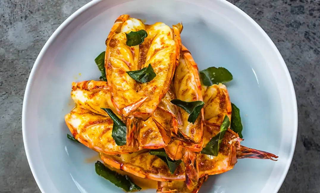 Grilled shrimp with herbs on a white plate