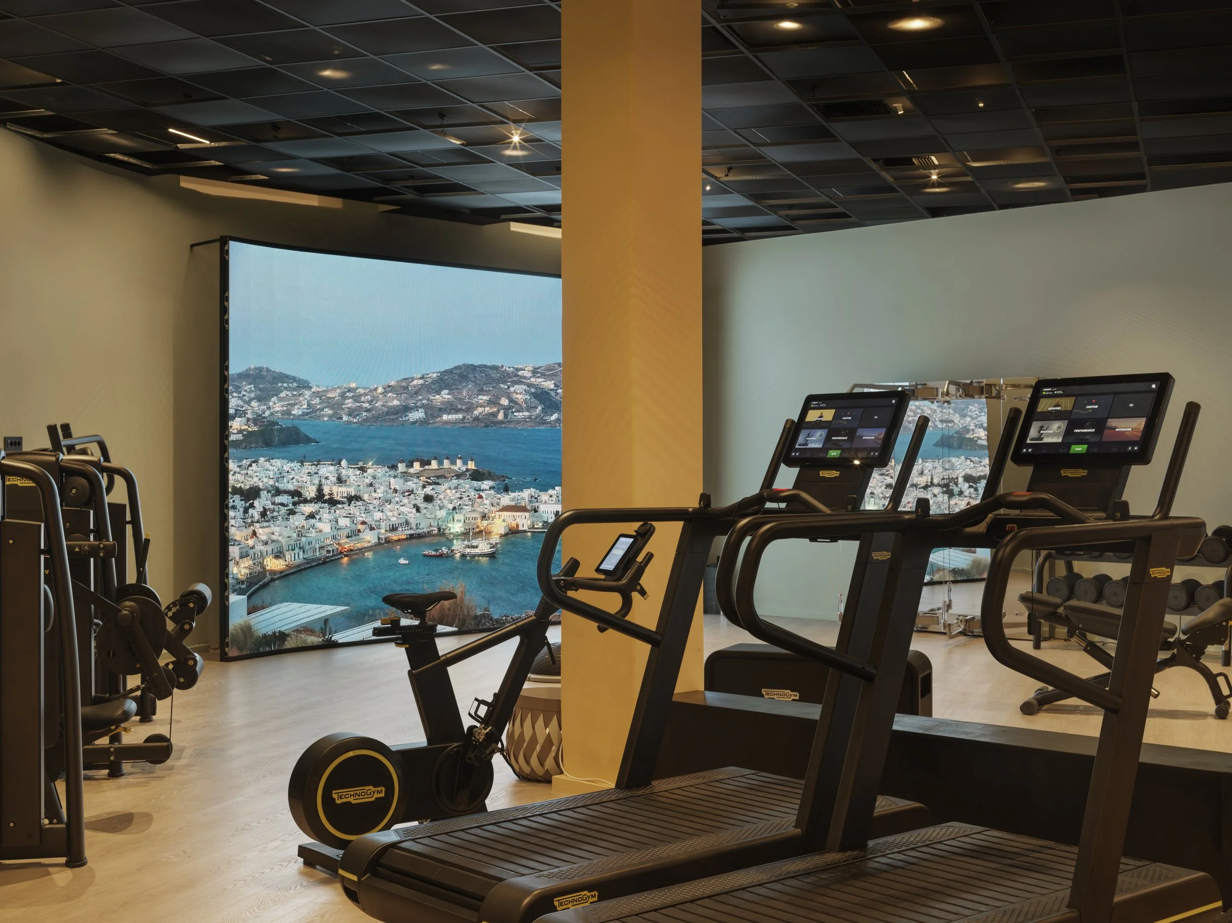 Modern gym with treadmills, exercise bike, weight lifting equipment, and a large window showing a cityscape and water view.