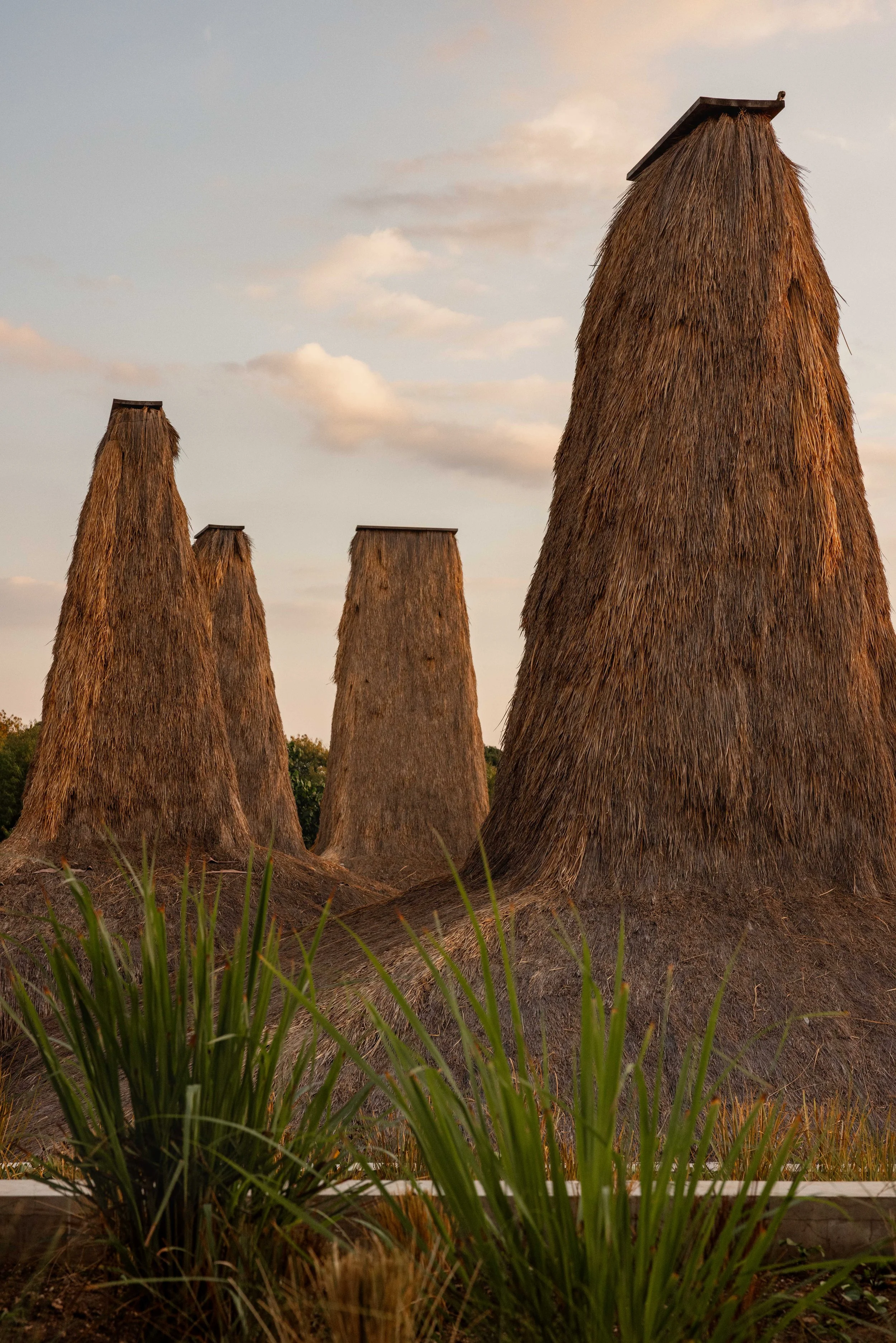 Four large haystacks with flat tops scene during sunset or sunrise with a sky of light clouds and green grass in the foreground.