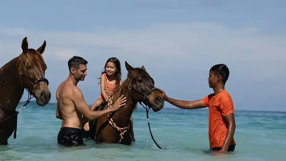 Horses along the shore.