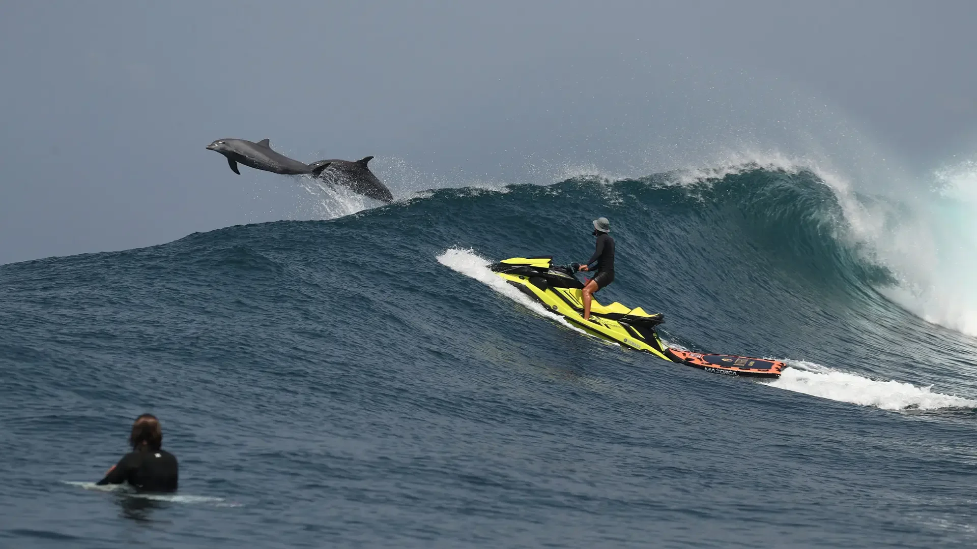 A person on a yellow watercraft riding a large wave, with two dolphins leaping out of the water in the background and a person in the water observing.