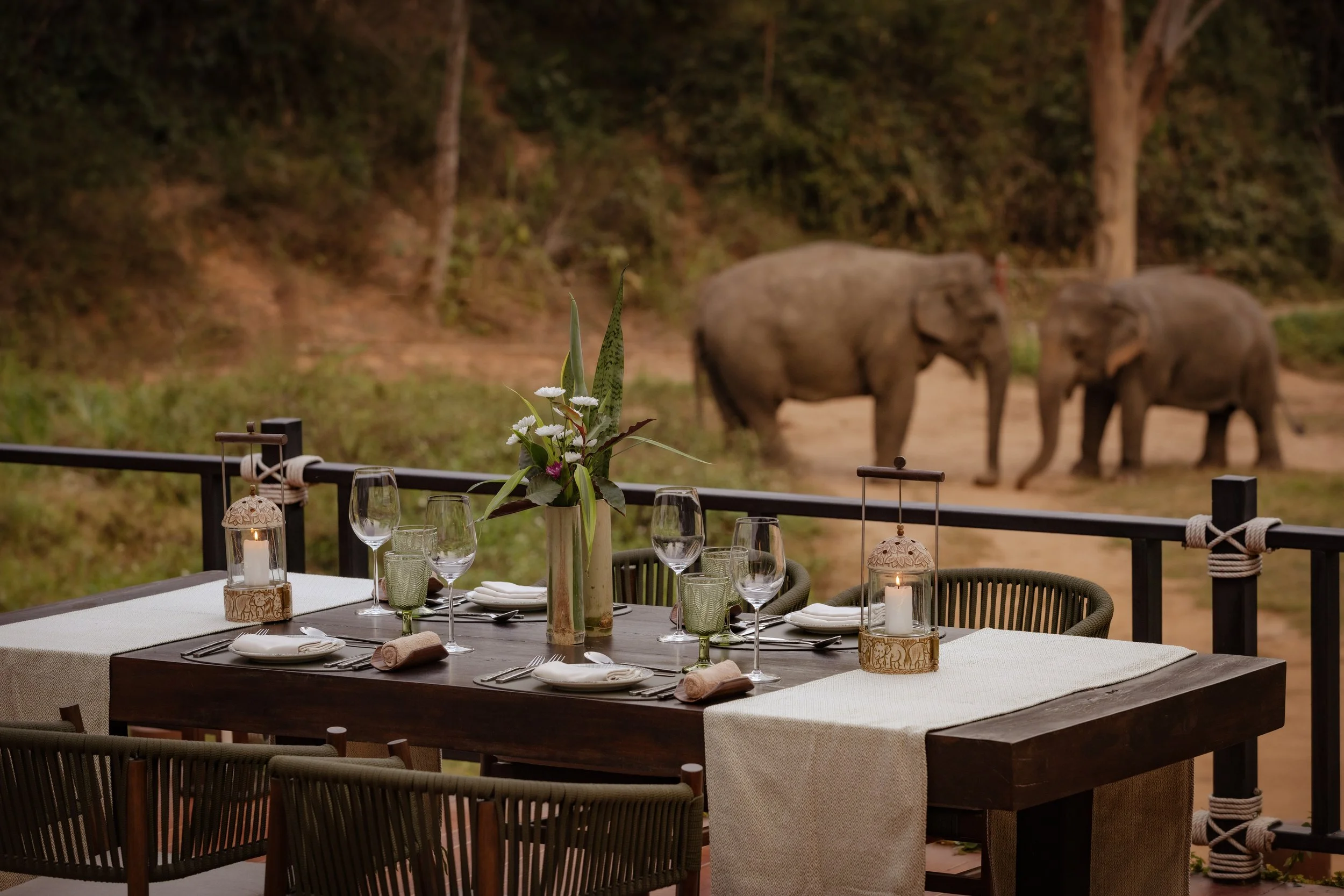 An outdoor dining table set for a meal with glassware, plates, napkins, a floral centerpiece, and lanterns, overlooking a landscape with elephants in the background.