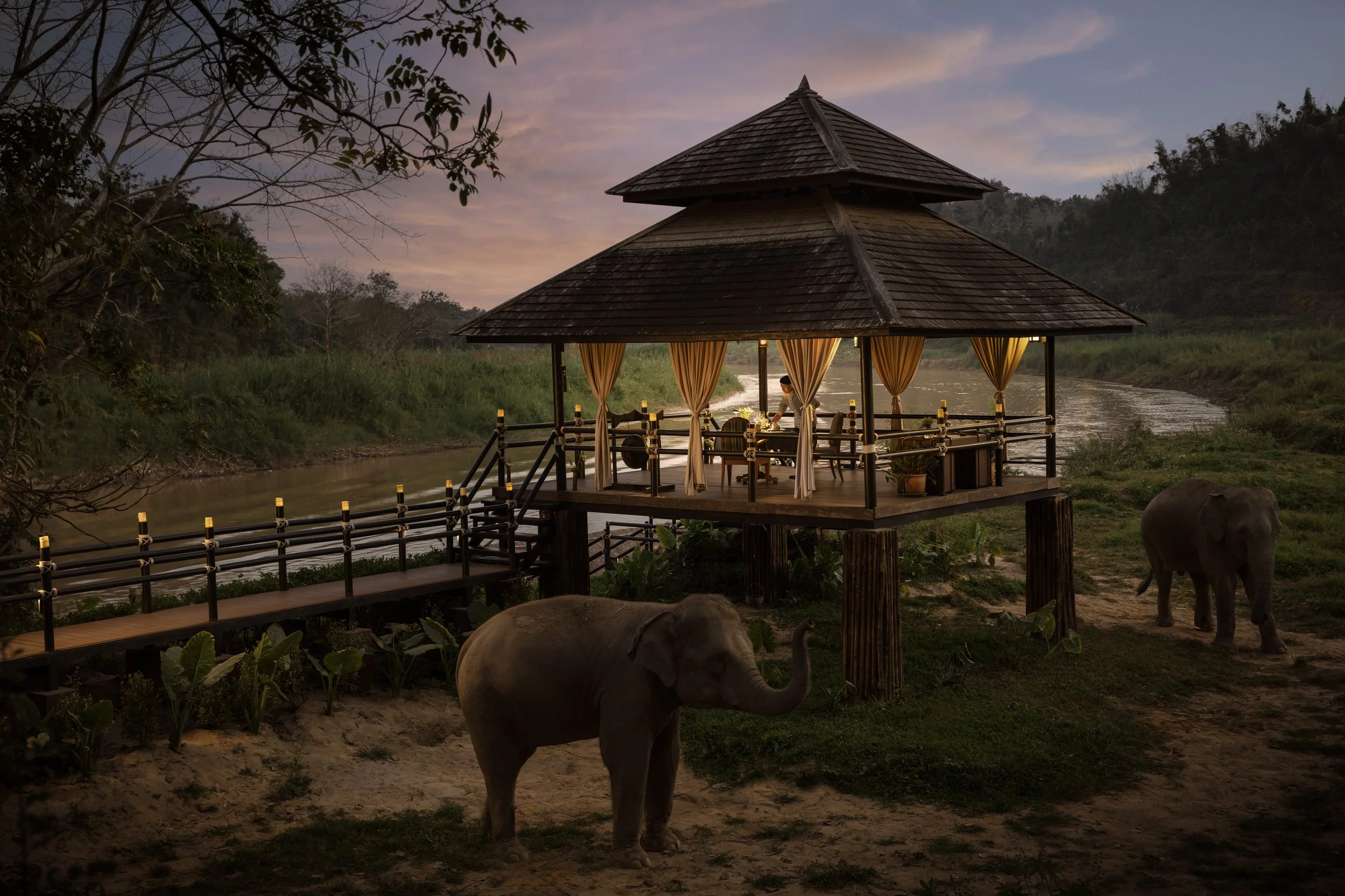 A wooden restaurant built on stilts near a river, with curtains and tables inside, during sunset. Two elephants are near the structure, and lush greenery surrounds the scene.