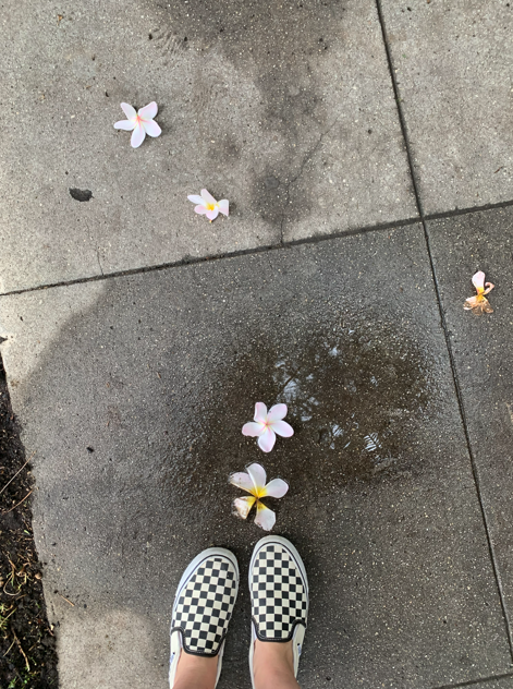 Screenshot 2026-03-19 085245.png