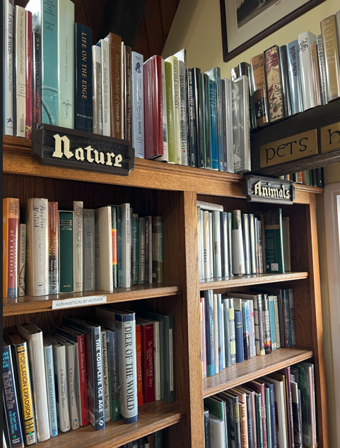 Screenshot 2026-03-19 085312.png