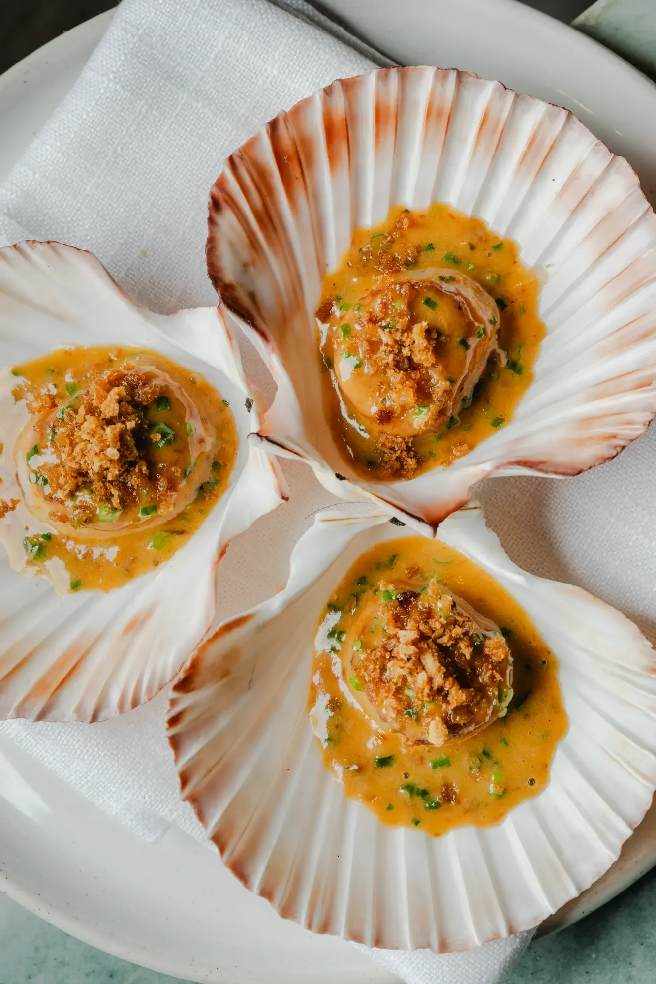 scallops 