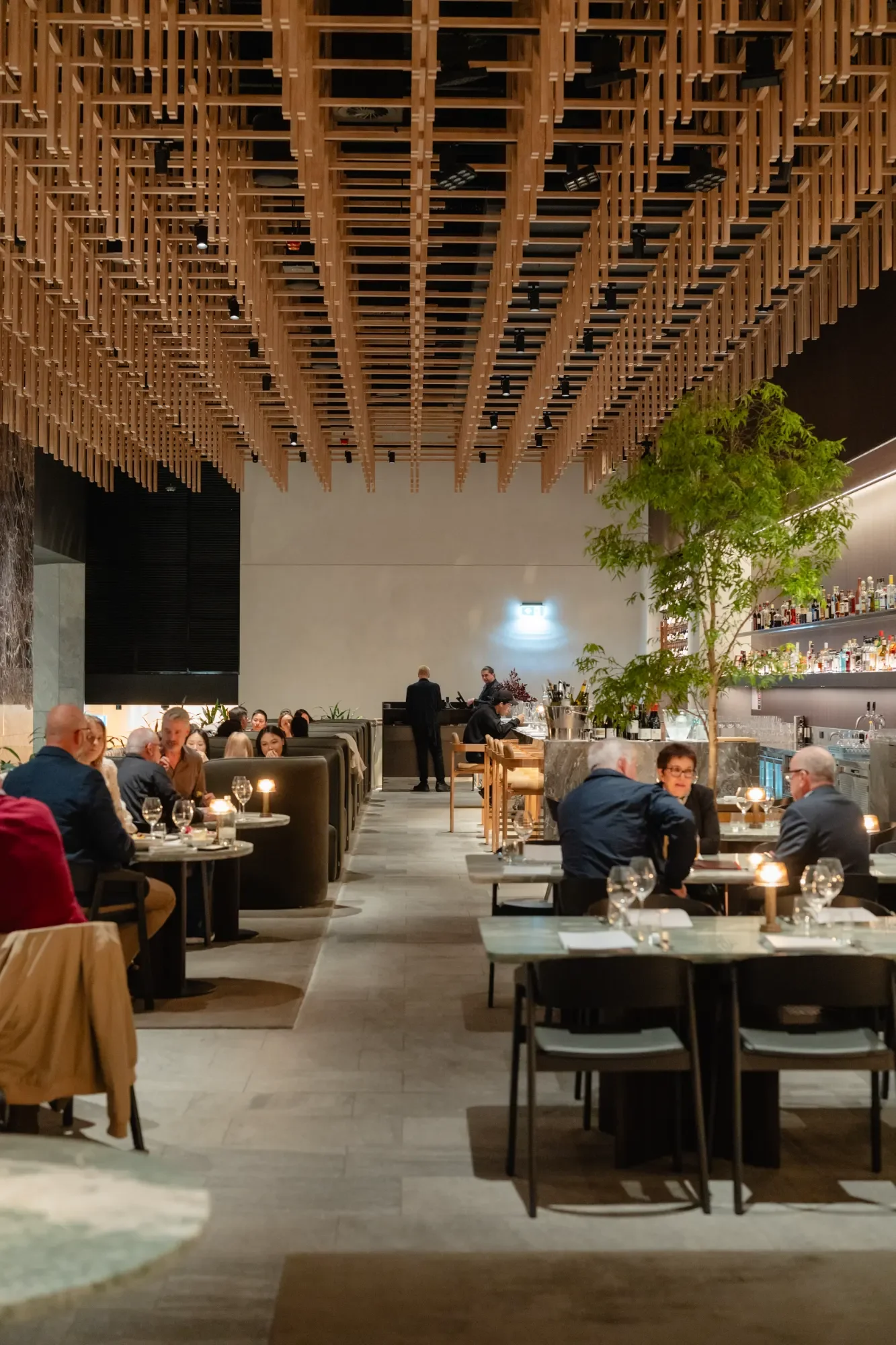 dining at bistro ebony