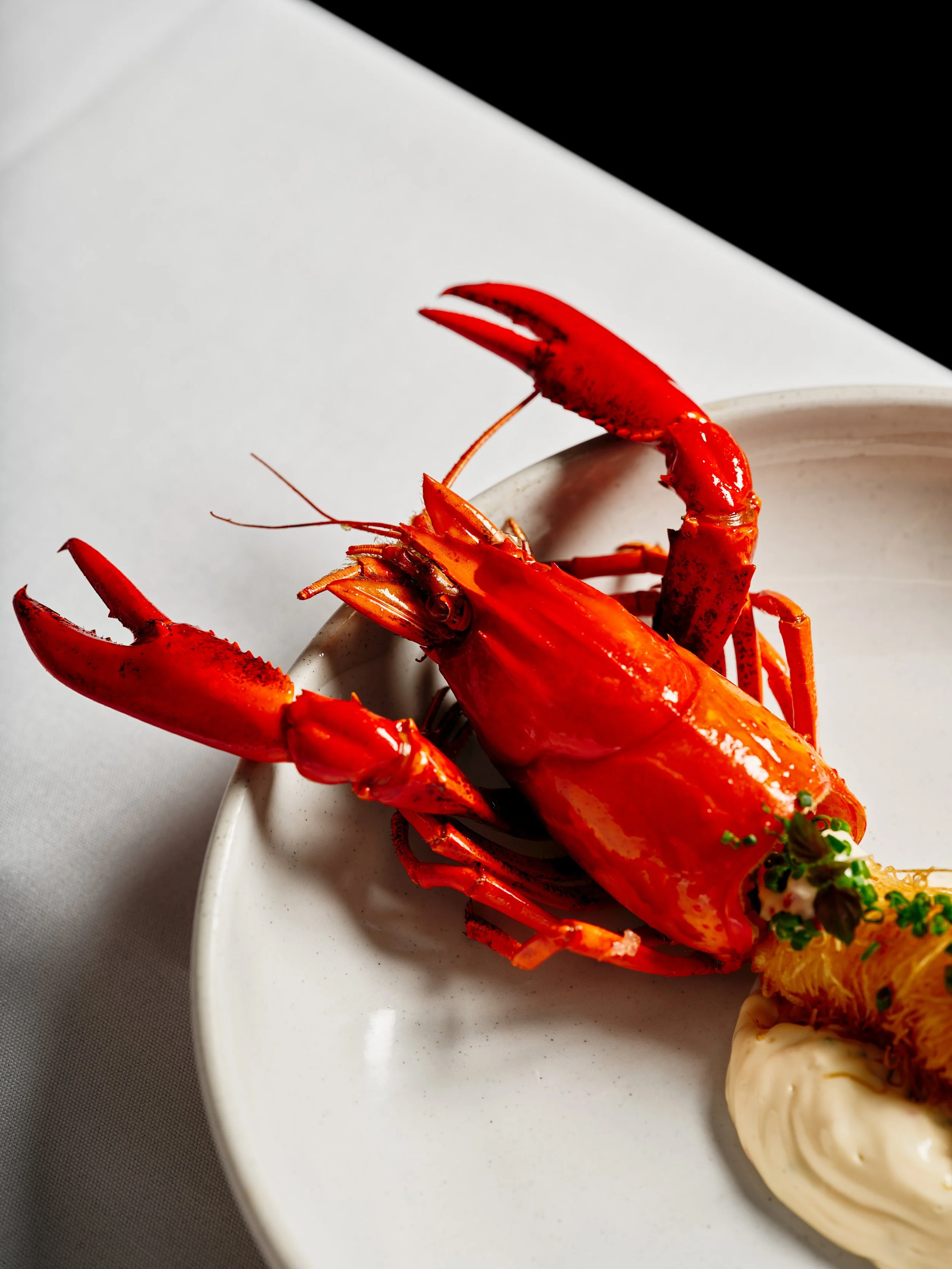 marron dish