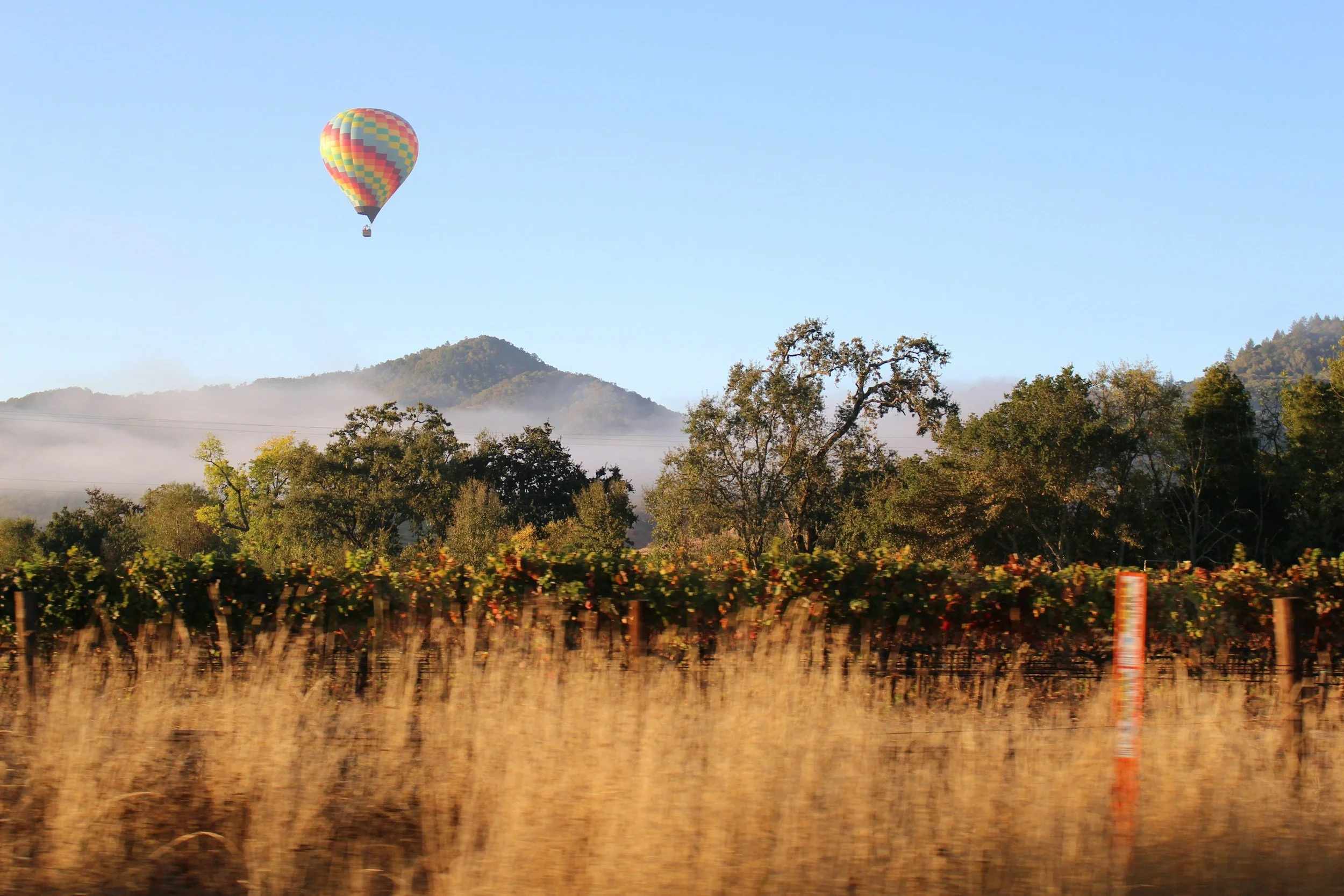A colorful hot air balloon floating above a landscape with trees, hills, and a vineyard in the foreground, during a clear day.