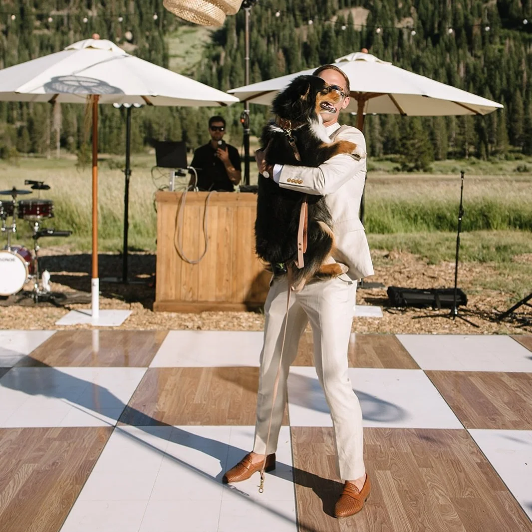 A man in a white suit holding a black and brown dog at an outdoor event with umbrellas, a DJ, musical instruments, and a grassy field with trees in the background.