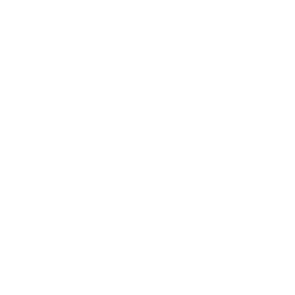 Line drawing of a camera with radiating lines indicating flash or light.