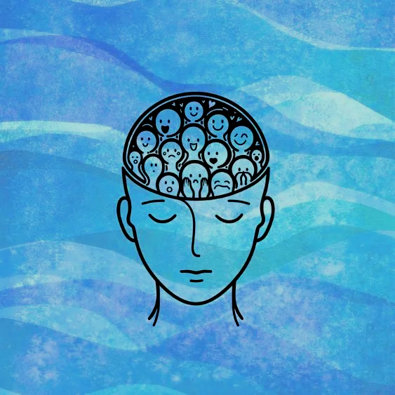 A man's head with parts inside symbolising Internal Family Systems and Schema Therapy