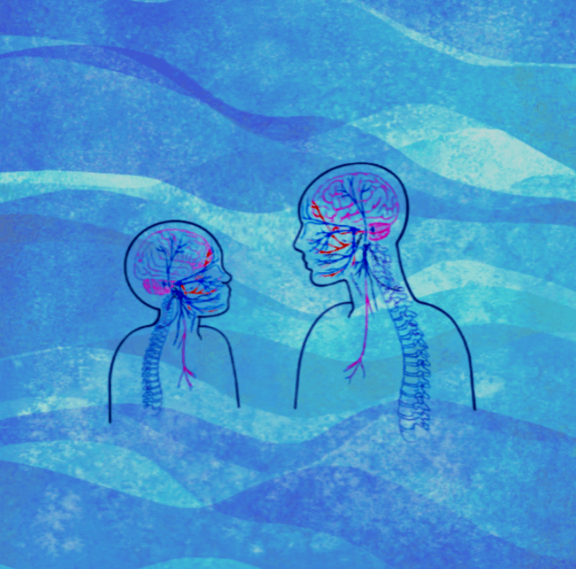 trauma-recovery