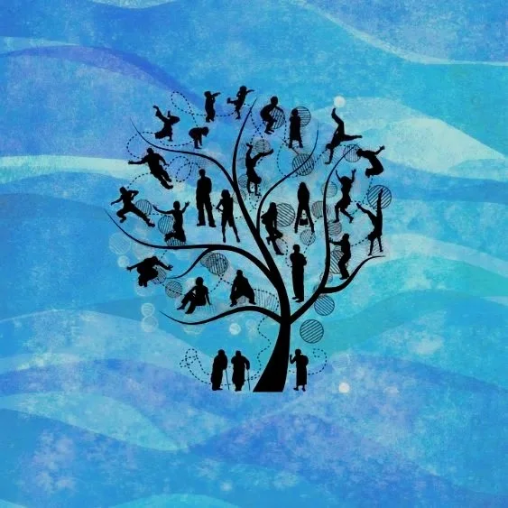 family therapy and counselling