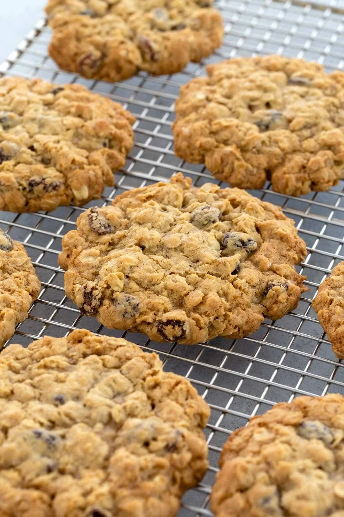 Oatmeal Rasin Cookies (six cookies)