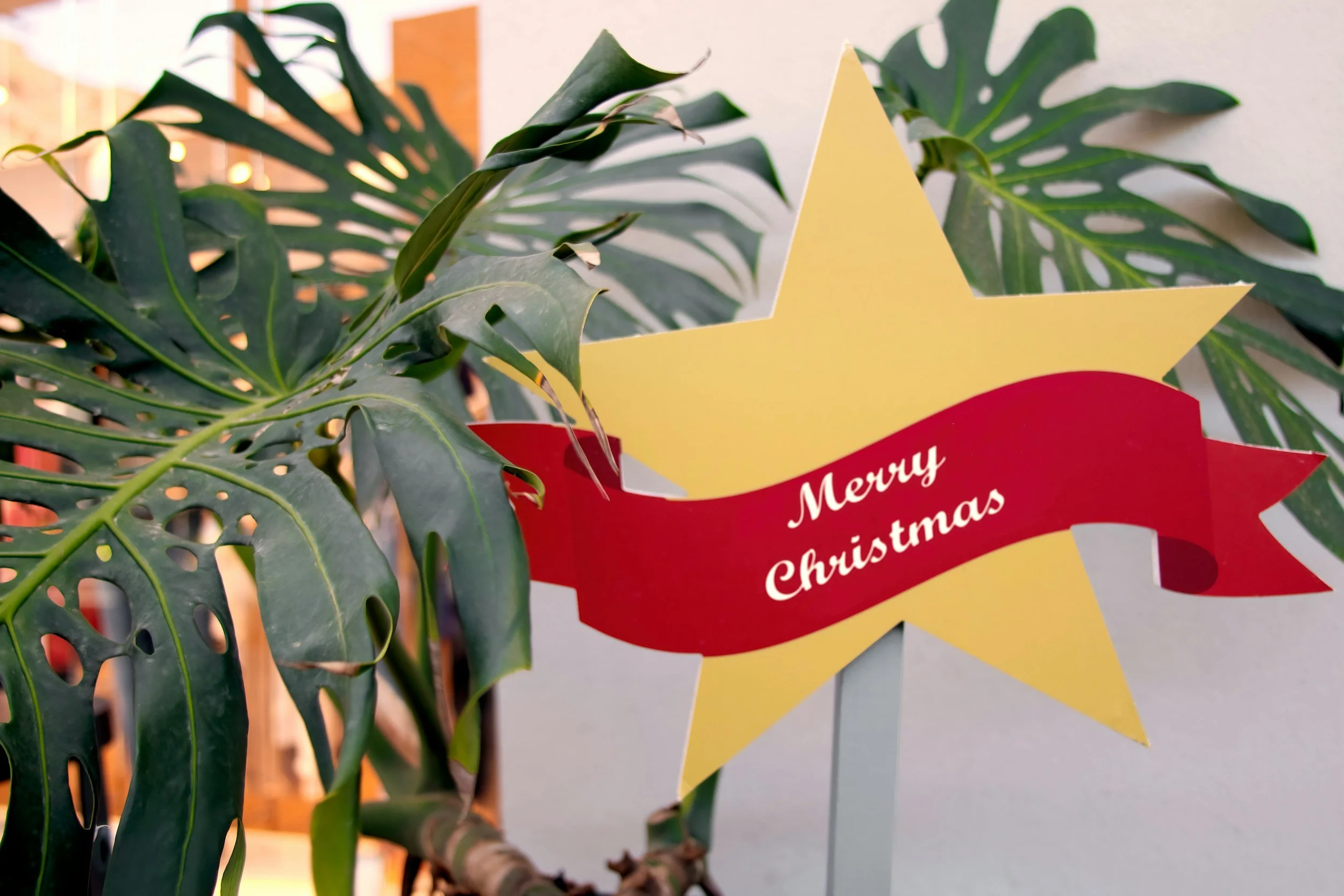 Honomu Village Holiday Party