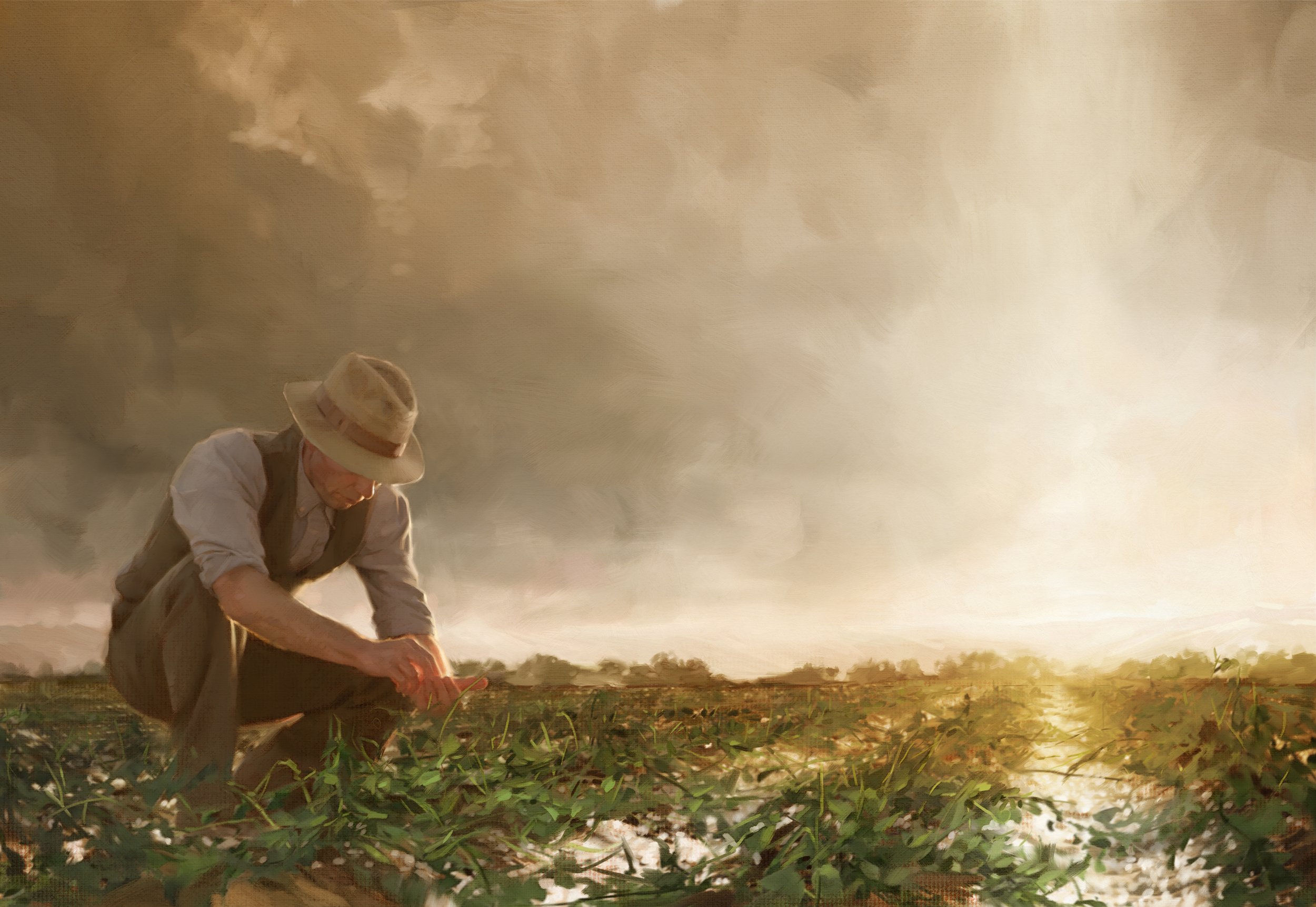 20_AfterTheStorm_Digital.jpg