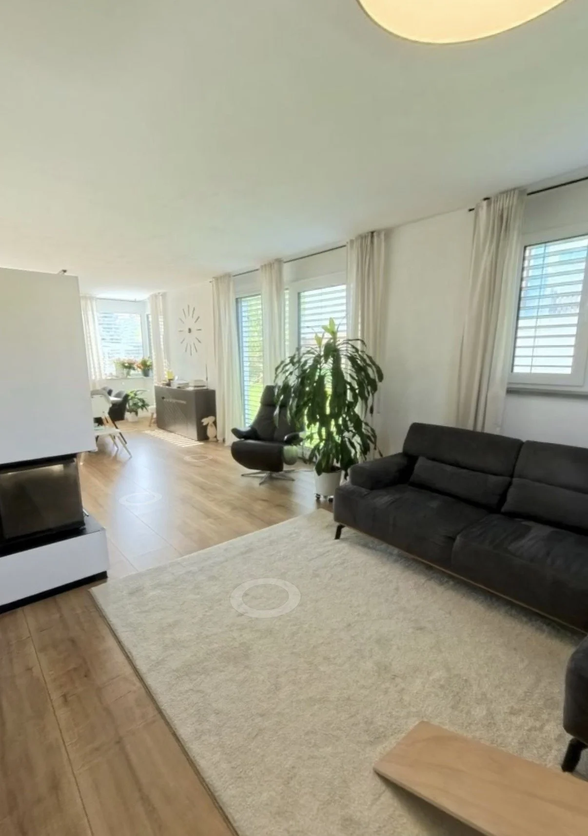 Heller Wohnzimmer mit Parkettboden, weißer Wand, großen Fenstern mit weißen Vorhängen, dunklem Sofa, Sessel, Pflanzen und einer Uhr an der Wand.