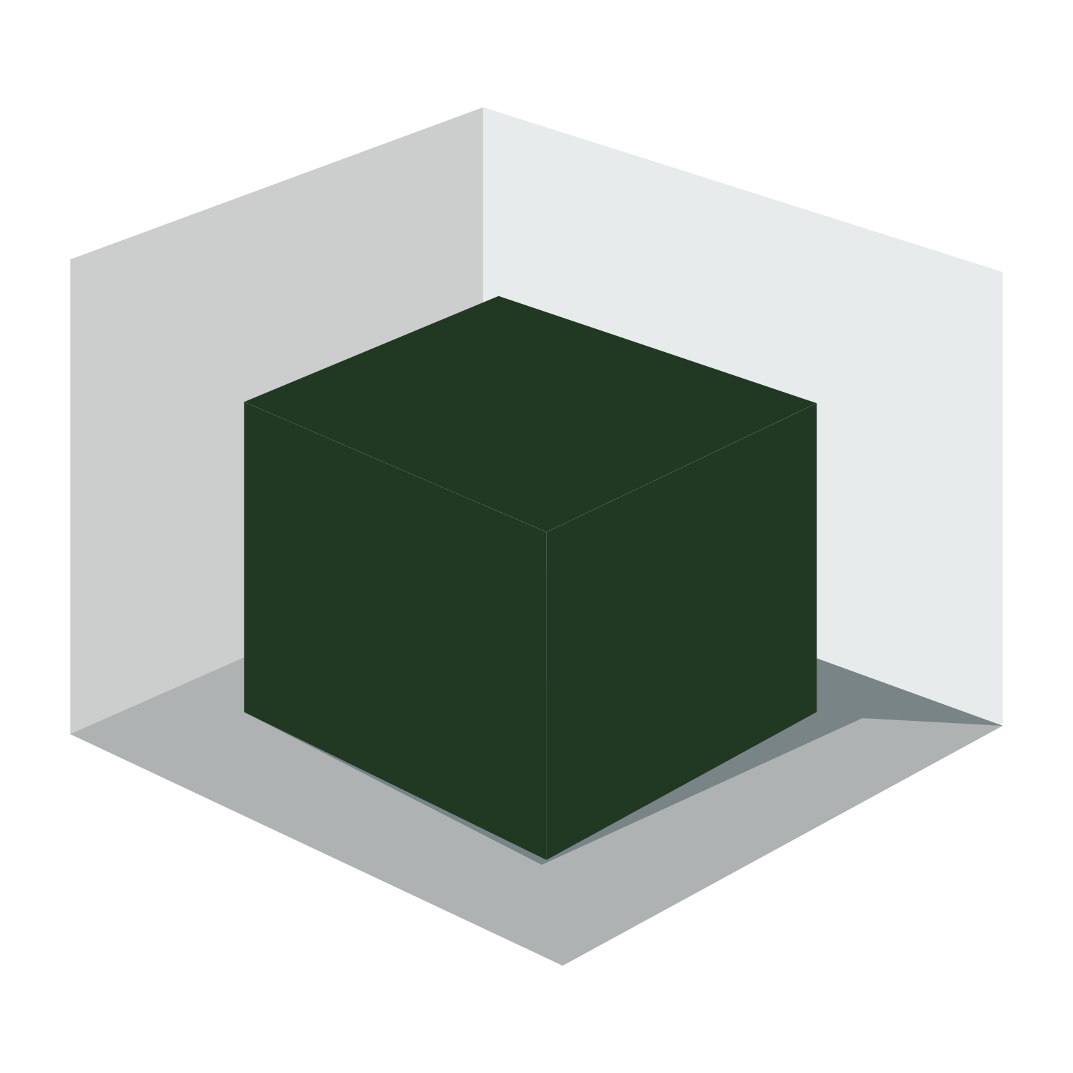 Eine 3D-Darstellung eines schwarzen Würfels in einem Lichtgrauen Raum mit schwarzem Hintergrund.
