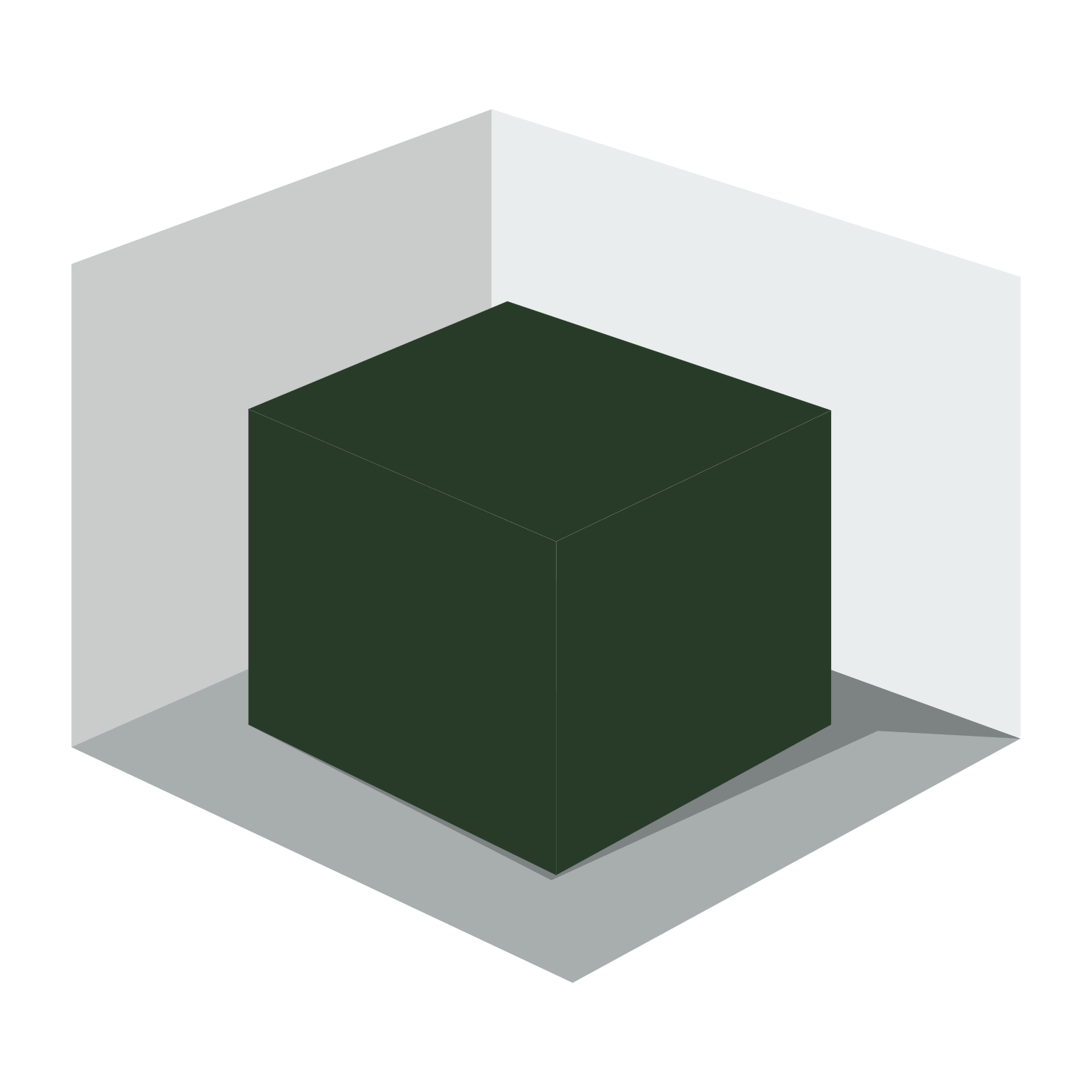 3D-Darstellung eines schwarzen Würfels in einem transparenten Raum mit weißen Wänden.