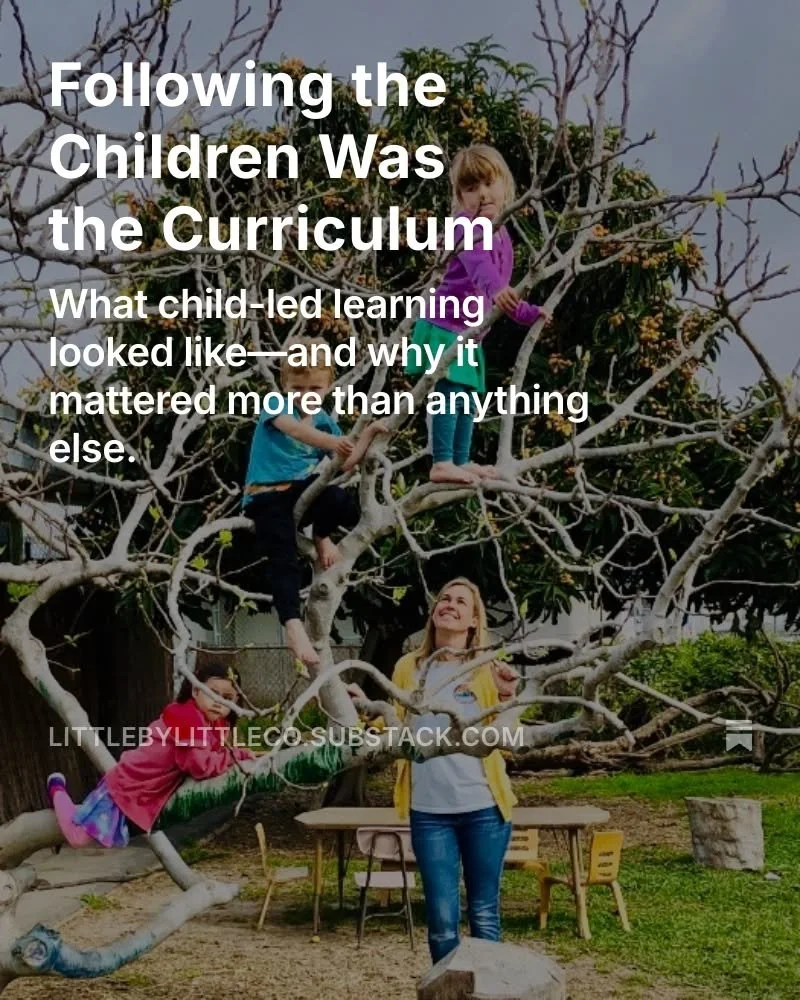 I never followed a curriculum.
I followed the children.

Their questions. Their play. Their wonder.
The caterpillars, the climbing trees, the mud kitchens.
The moments that asked us to pause, observe, and trust.

Because children are always learning.