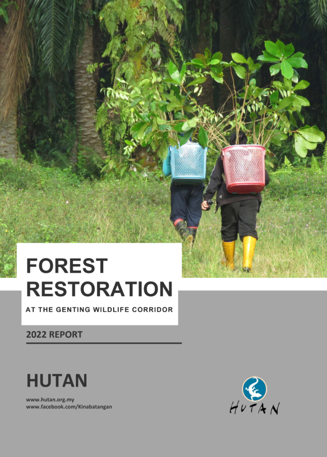 Reforestation Report 2022